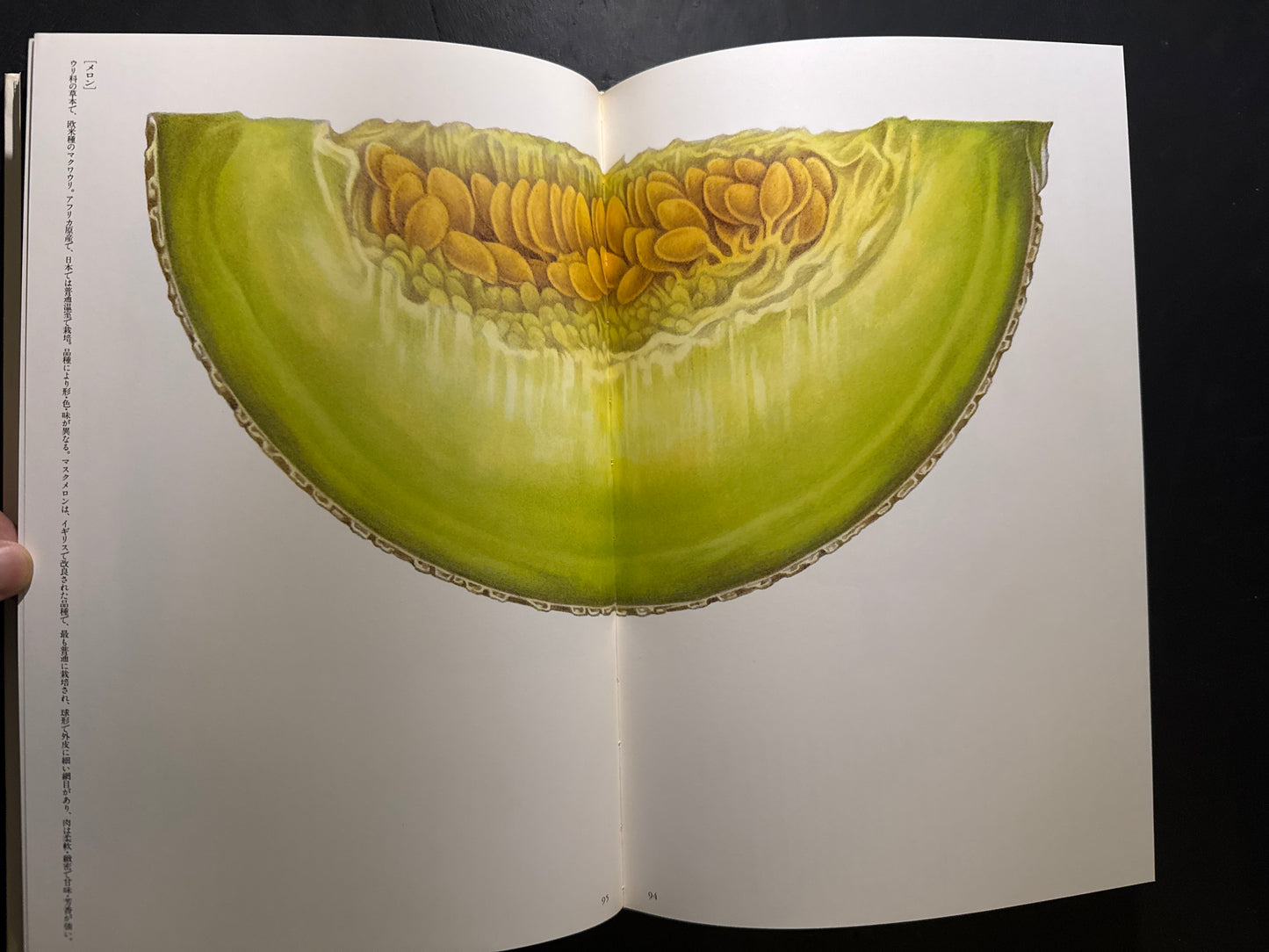 Tadashi Ohashi's Natural History