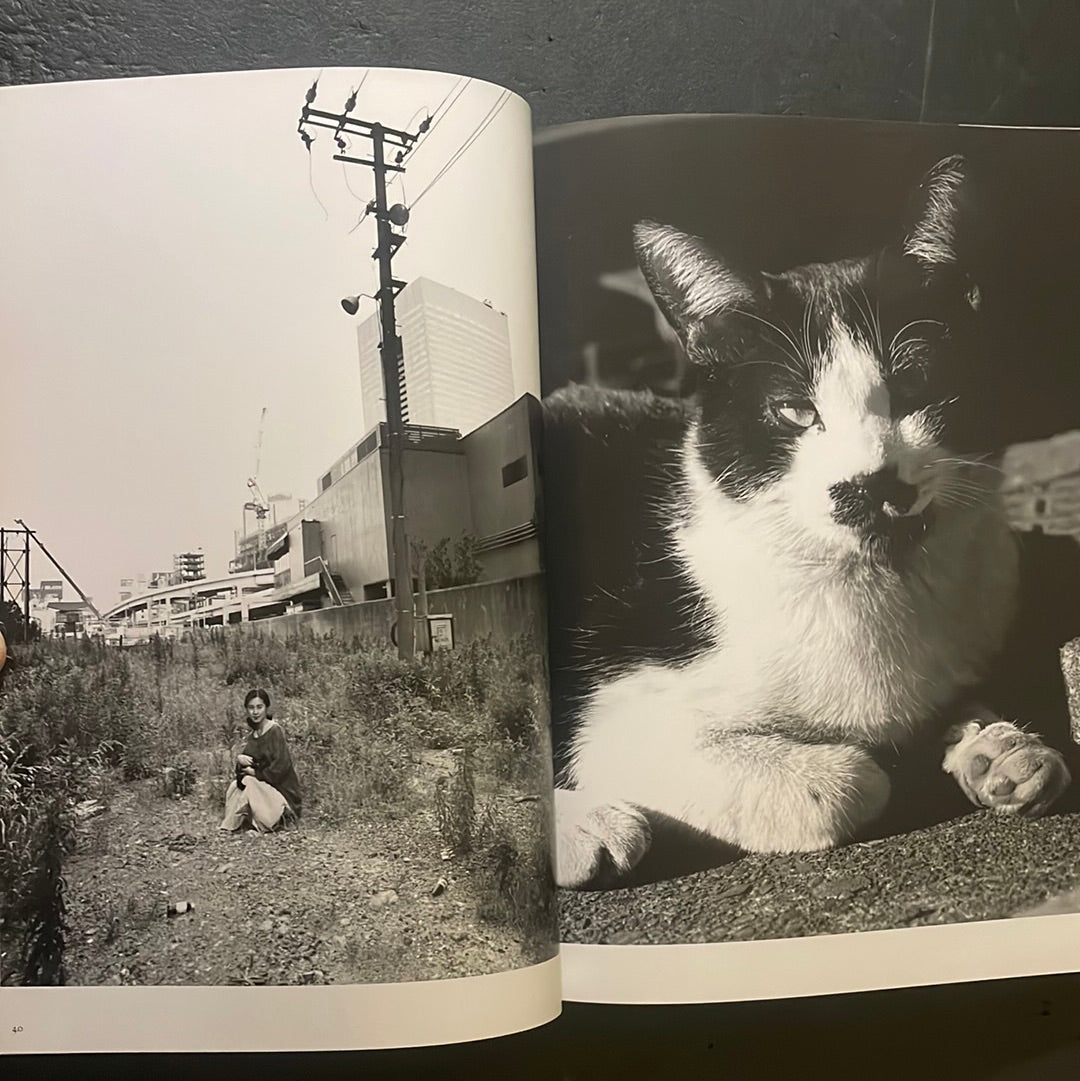 Living Cats in Tokyo