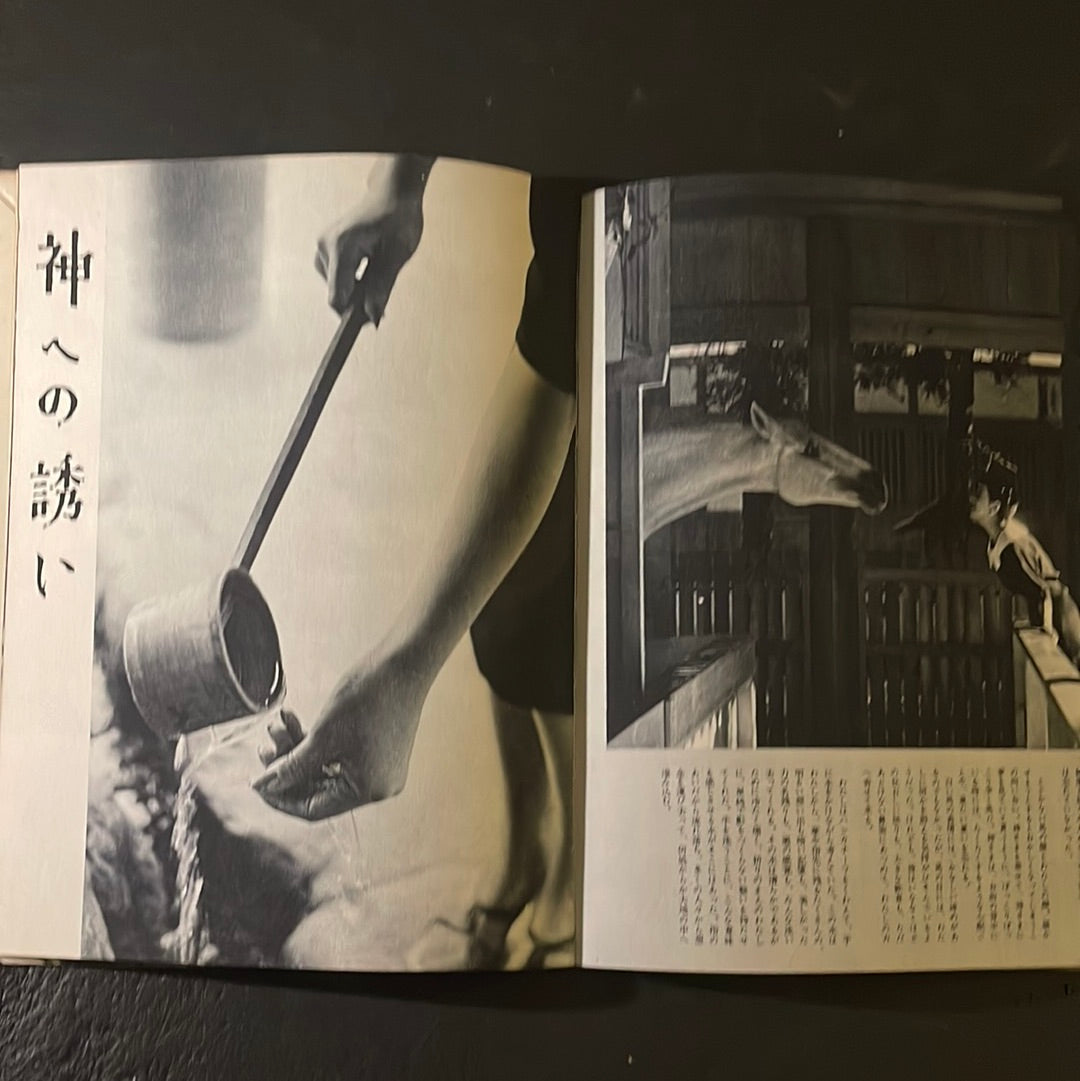 Photo-Story "wanderings of youth"