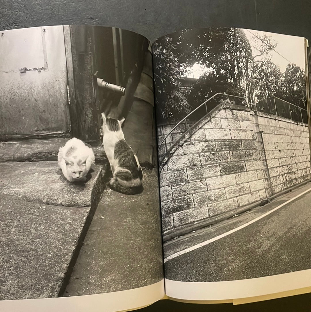 Living Cats in Tokyo