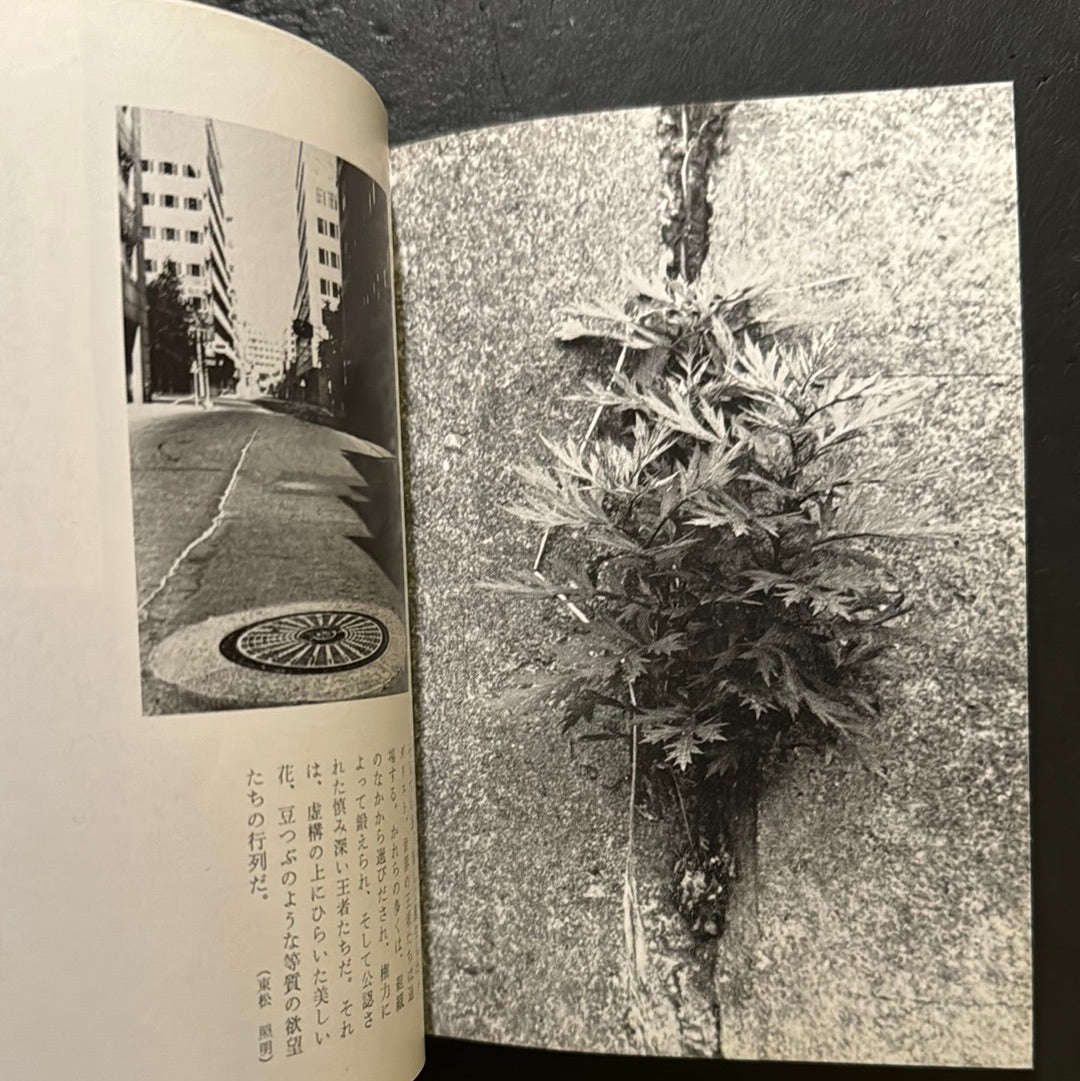 JOKYO 1965