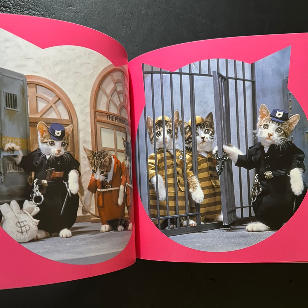 Rock'n' Roll CATS