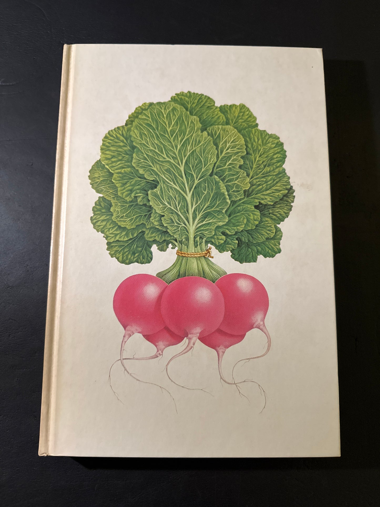 Tadashi Ohashi's Natural History