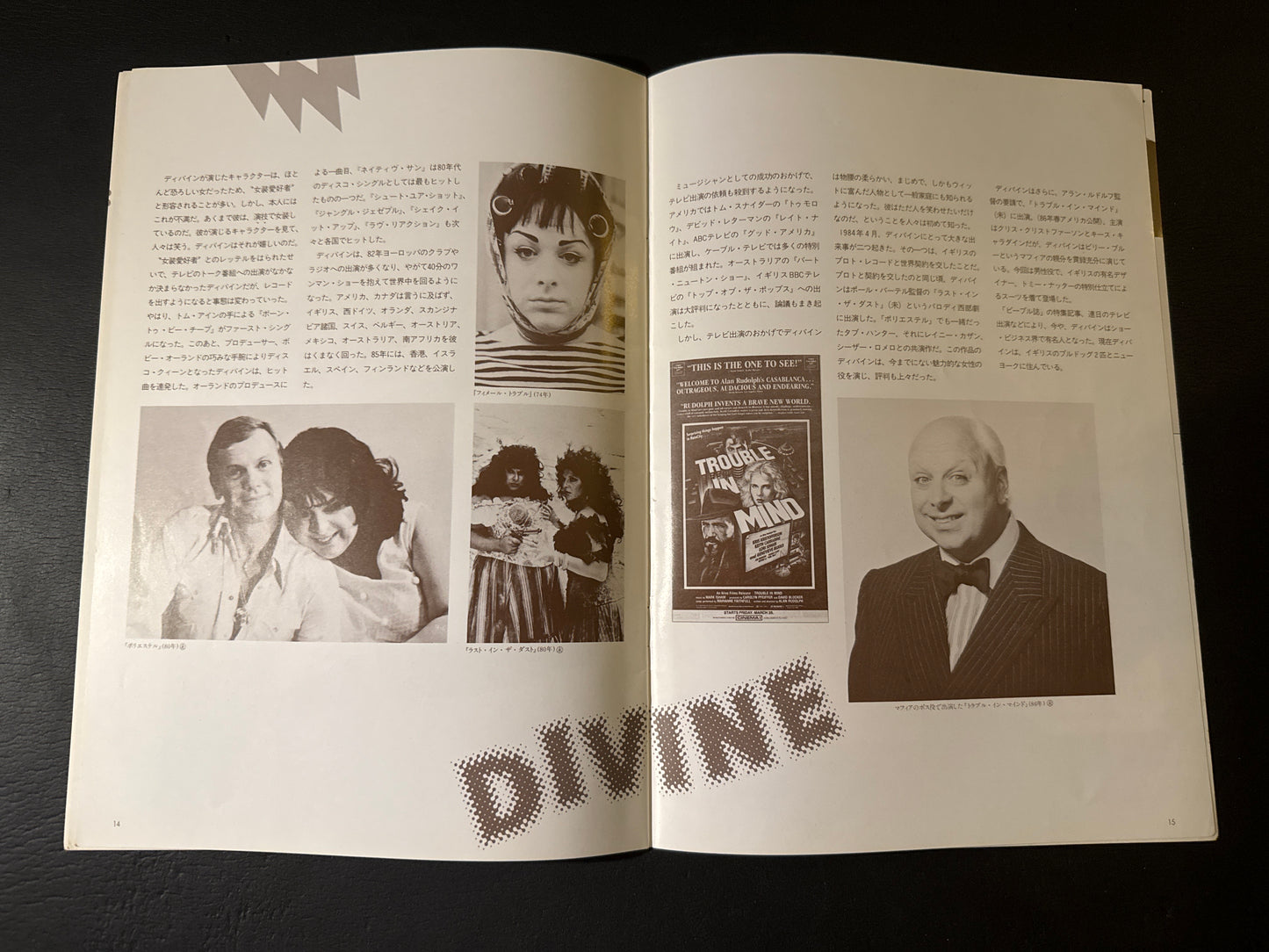 Pink Flamingos pamphlet