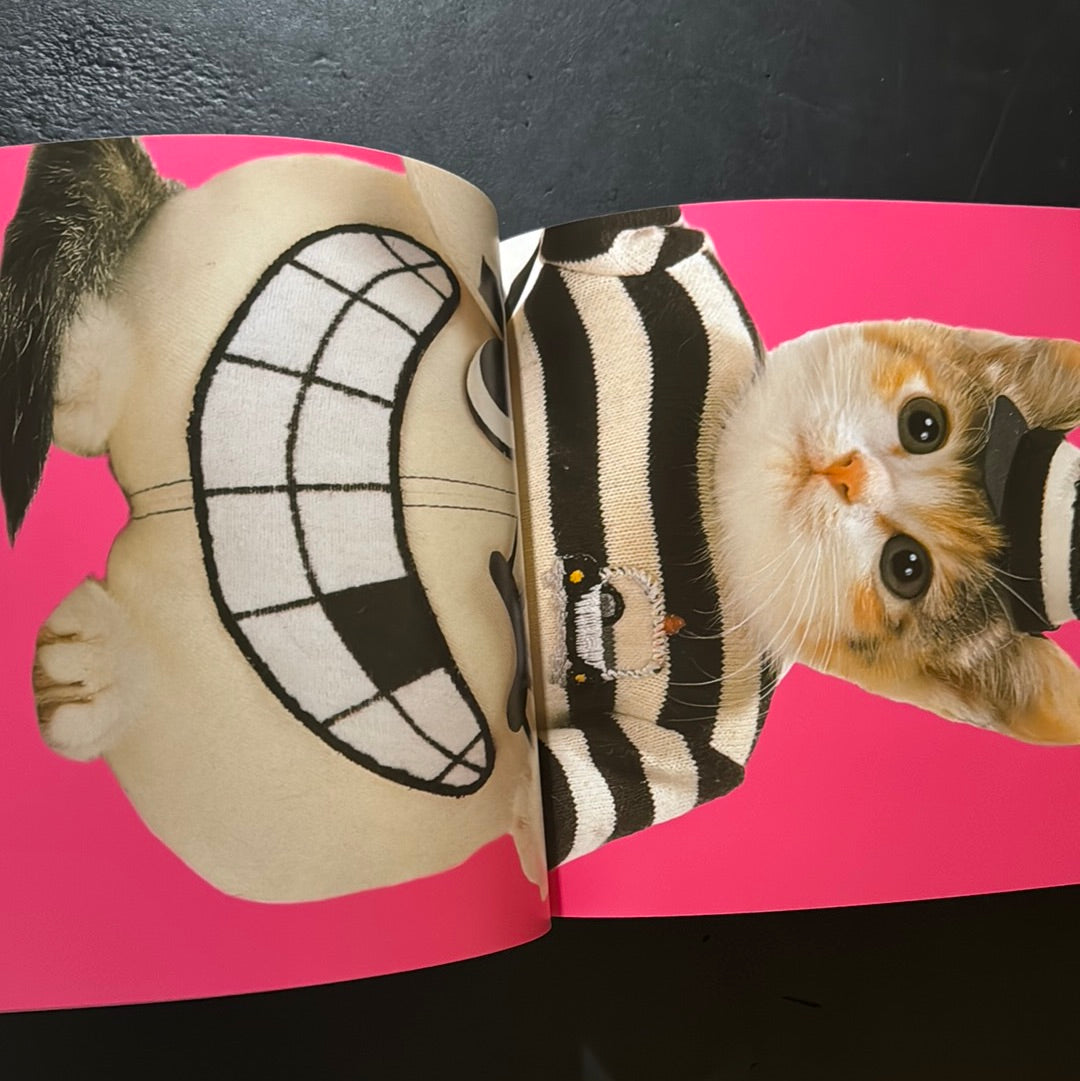 Rock'n' Roll CATS