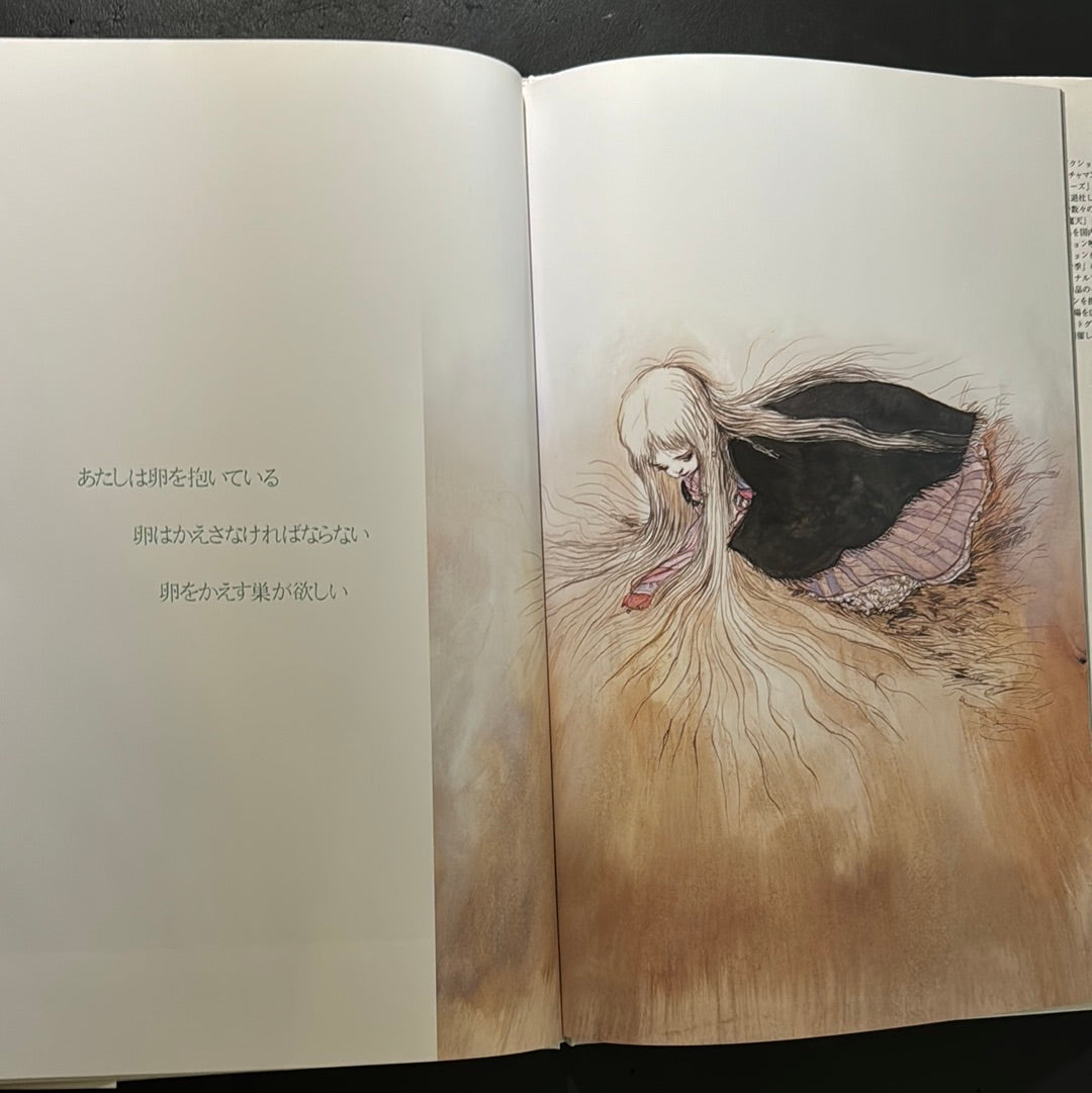 Angel's Egg 1985 First edition