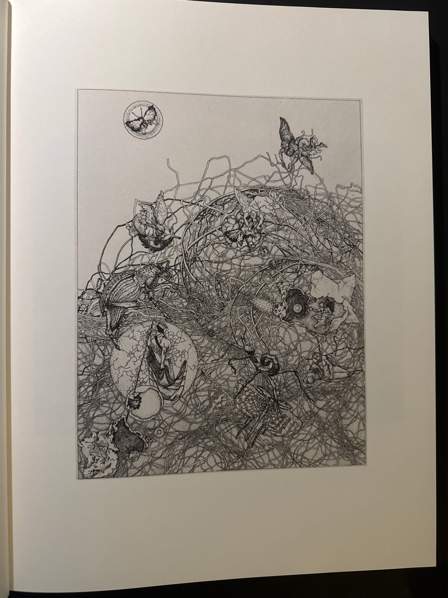 Keiko Kiyohara Artworks