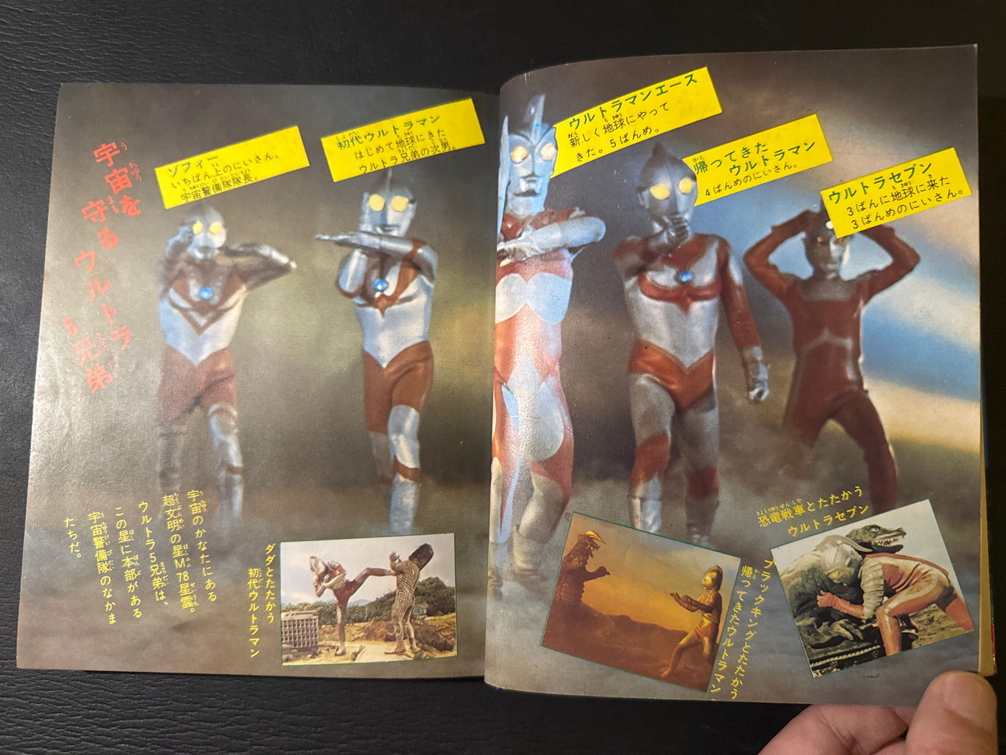 Kaiju Anatomy - Kaiju Illustrated Introduction 18