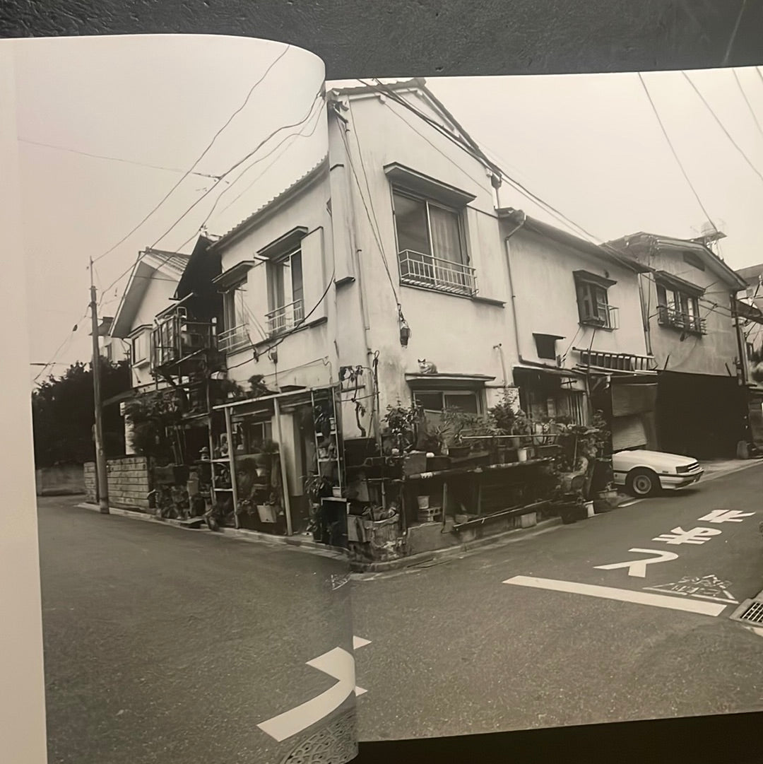 Living Cats in Tokyo