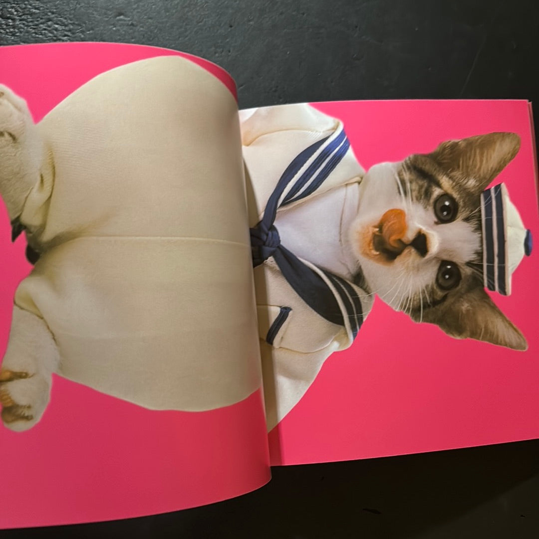 Rock'n' Roll CATS