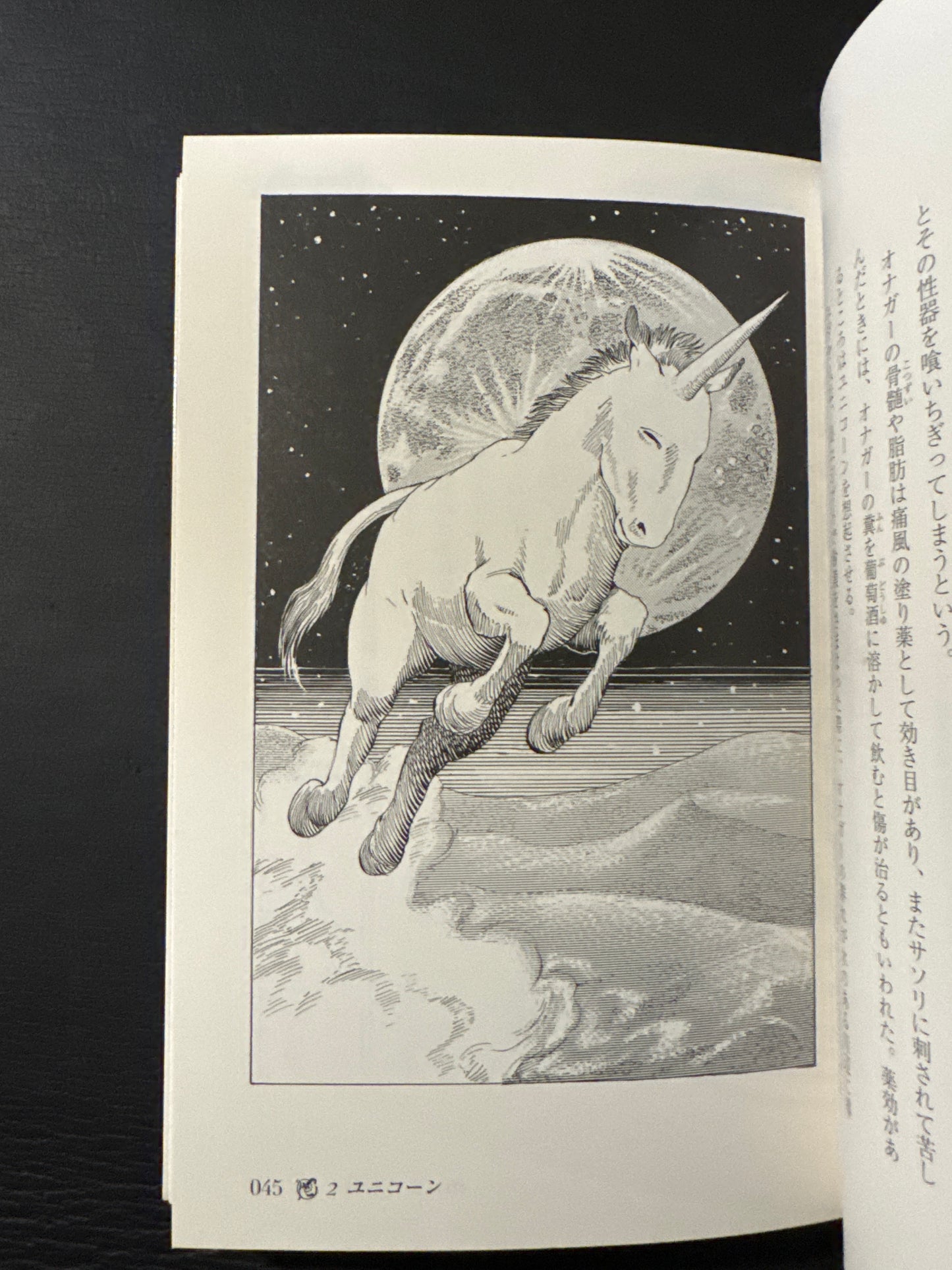 Encyclopedia of Mythical Creatures of the World