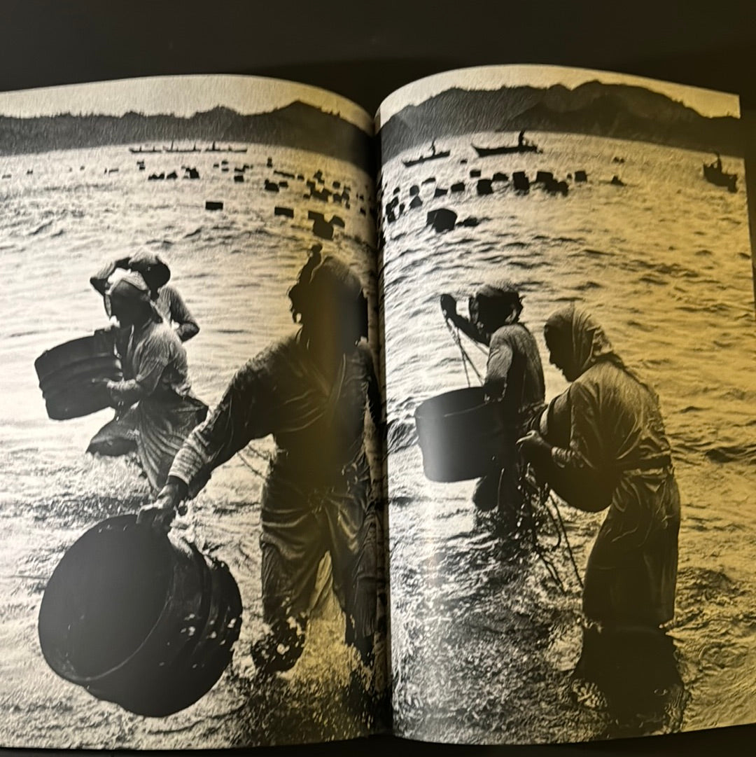 AMA of Shima