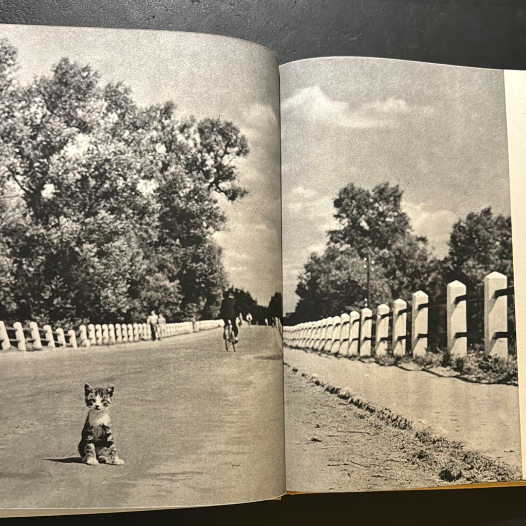 KATZEN
