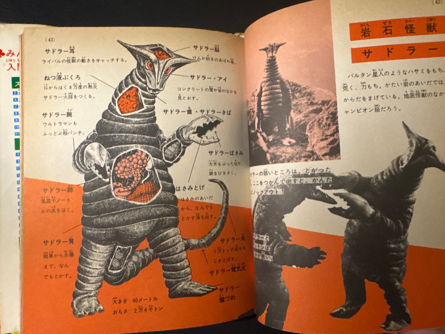 Kaiju Anatomy - Kaiju Illustrated Introduction 18