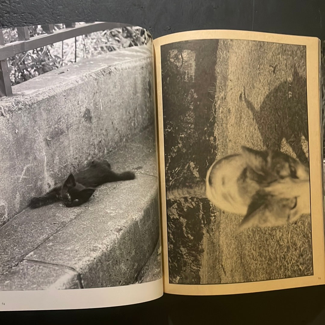 Living Cats in Tokyo