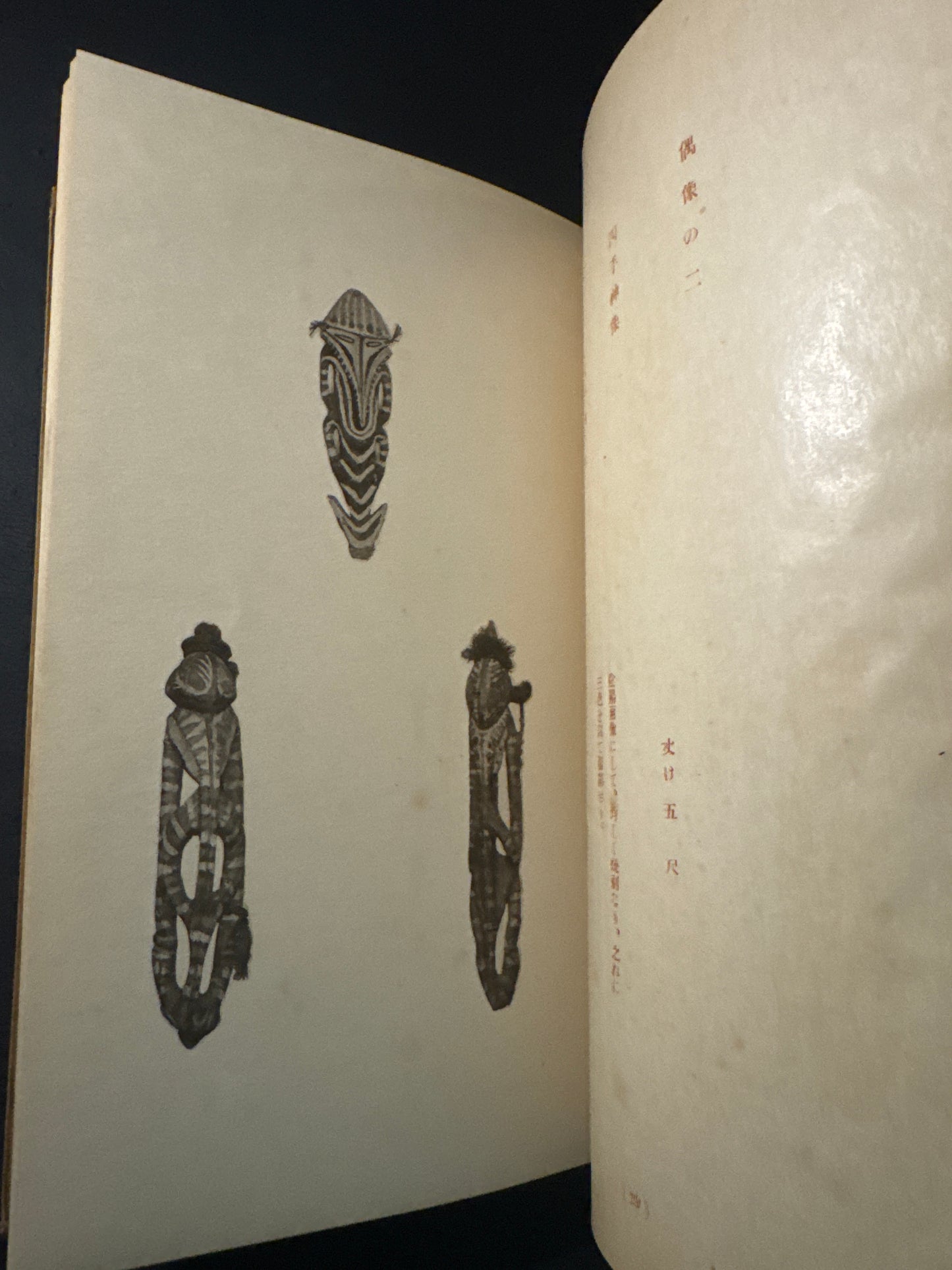 Art Collection of the Papua Tribe of New Guinea