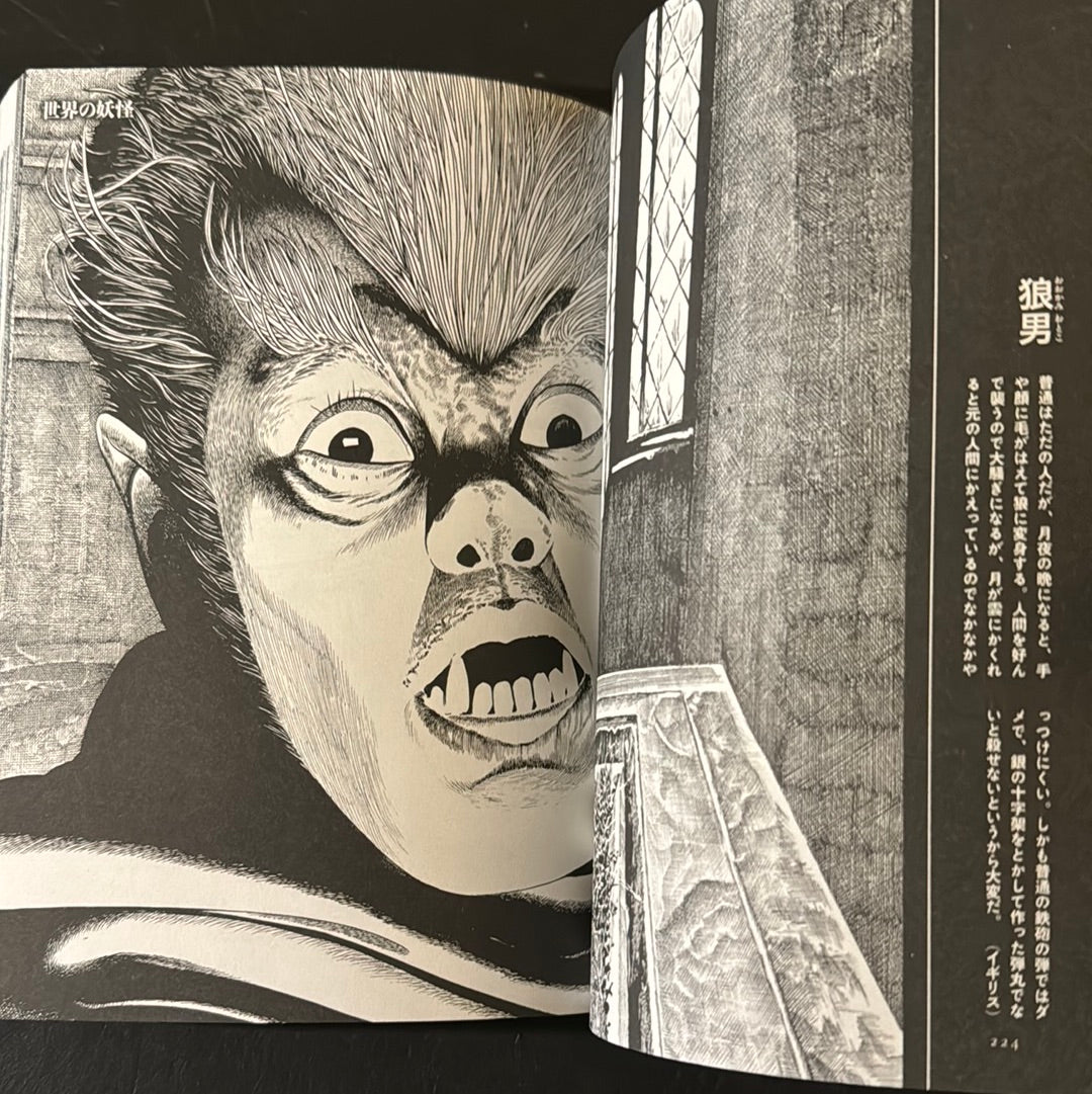 MIZUKI SHIGERU Collection of comics perfection Yokai Art Collection 2