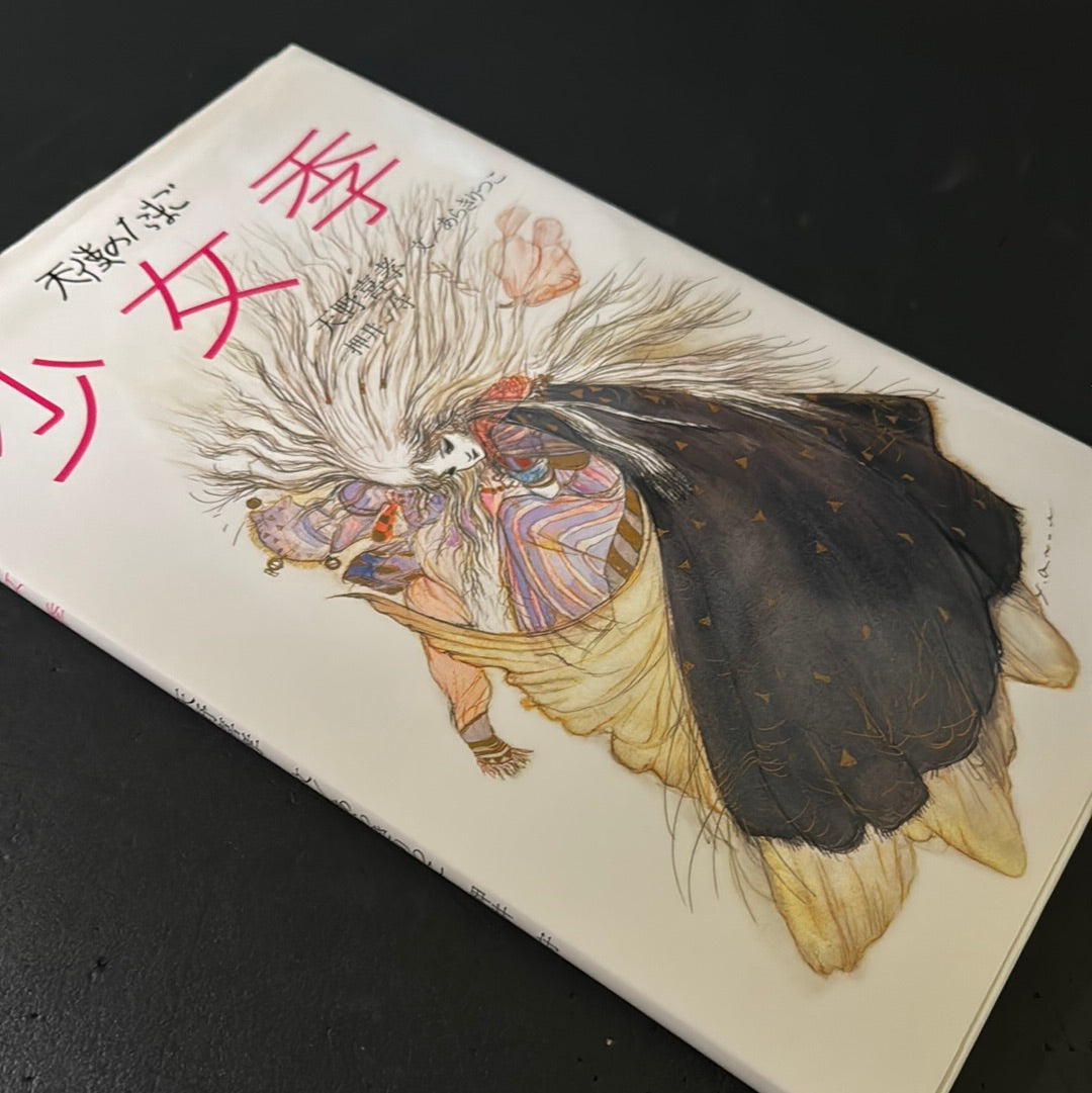 Angel's Egg 1985 First edition