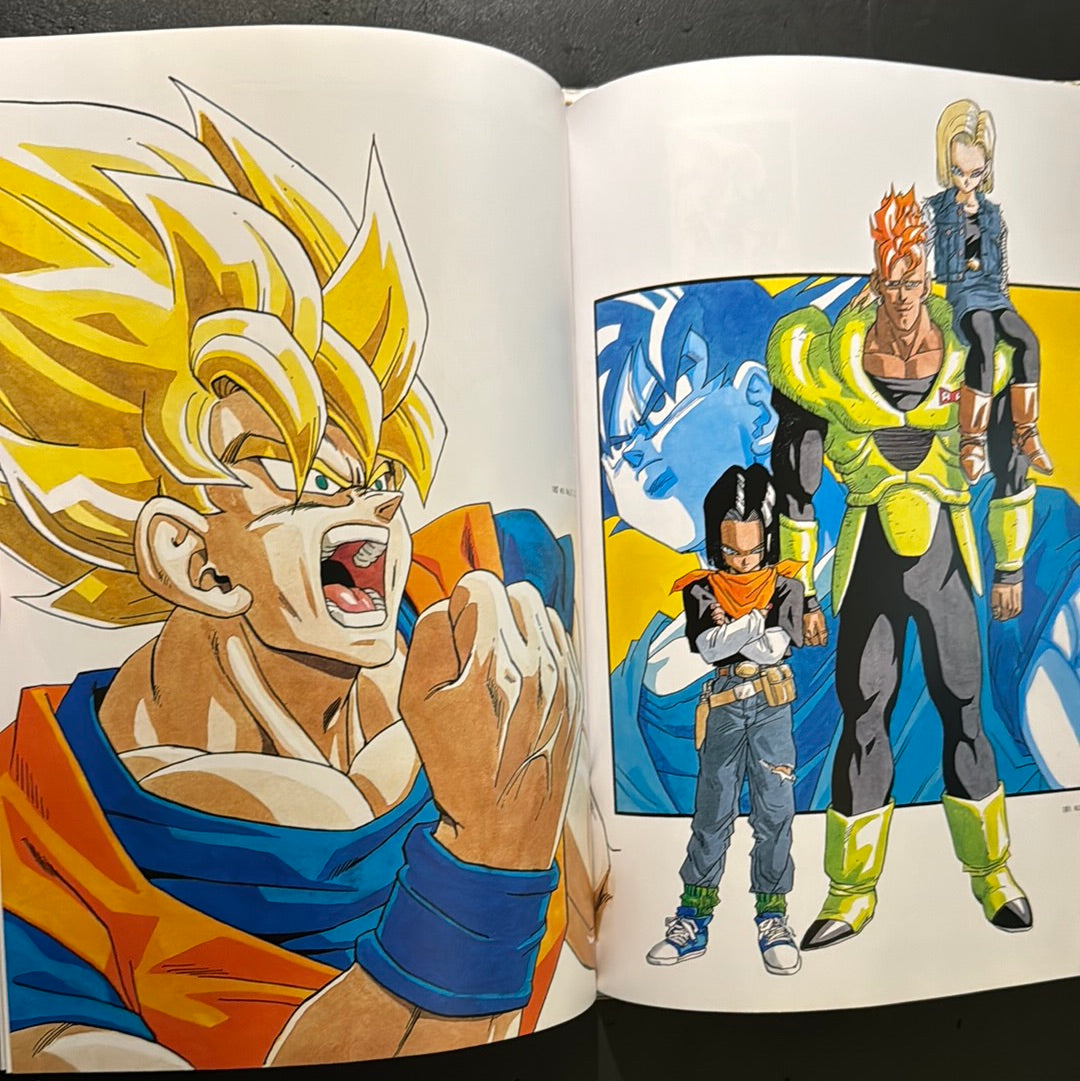 DRAGON BALL COMPLETE ILLUSTRATIONS