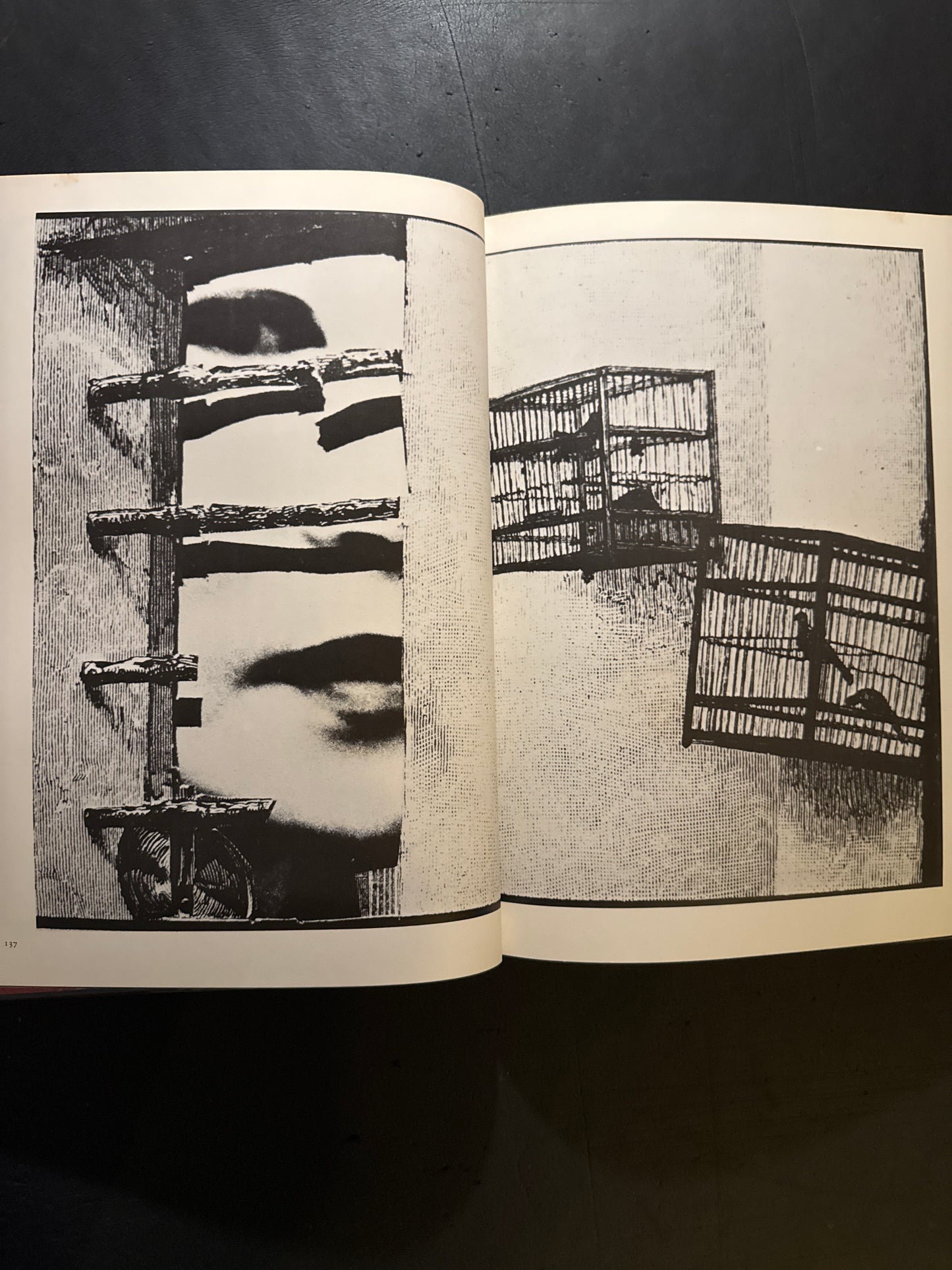 photo theque imaginaire de Shuji Terayama Les gems de la famille Chien Dieu