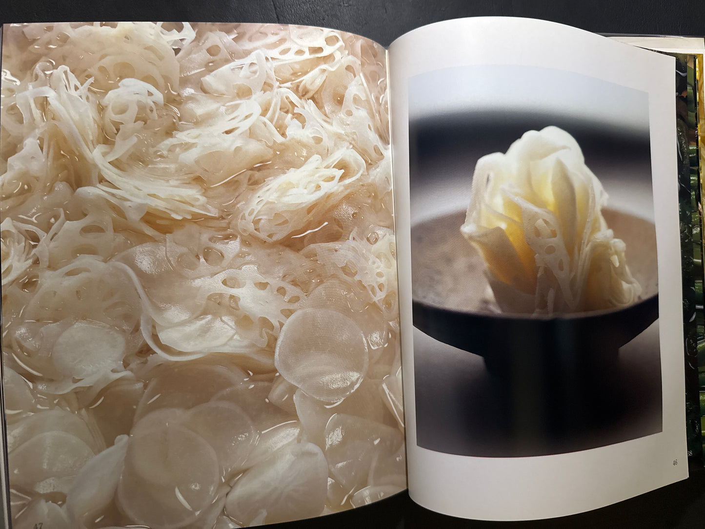 HYAKUMI SAISAI (A Hundred Tastes and Vegetables)
