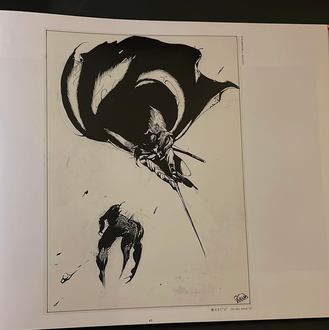 VAMPIRE HUNTER D : KANOKE