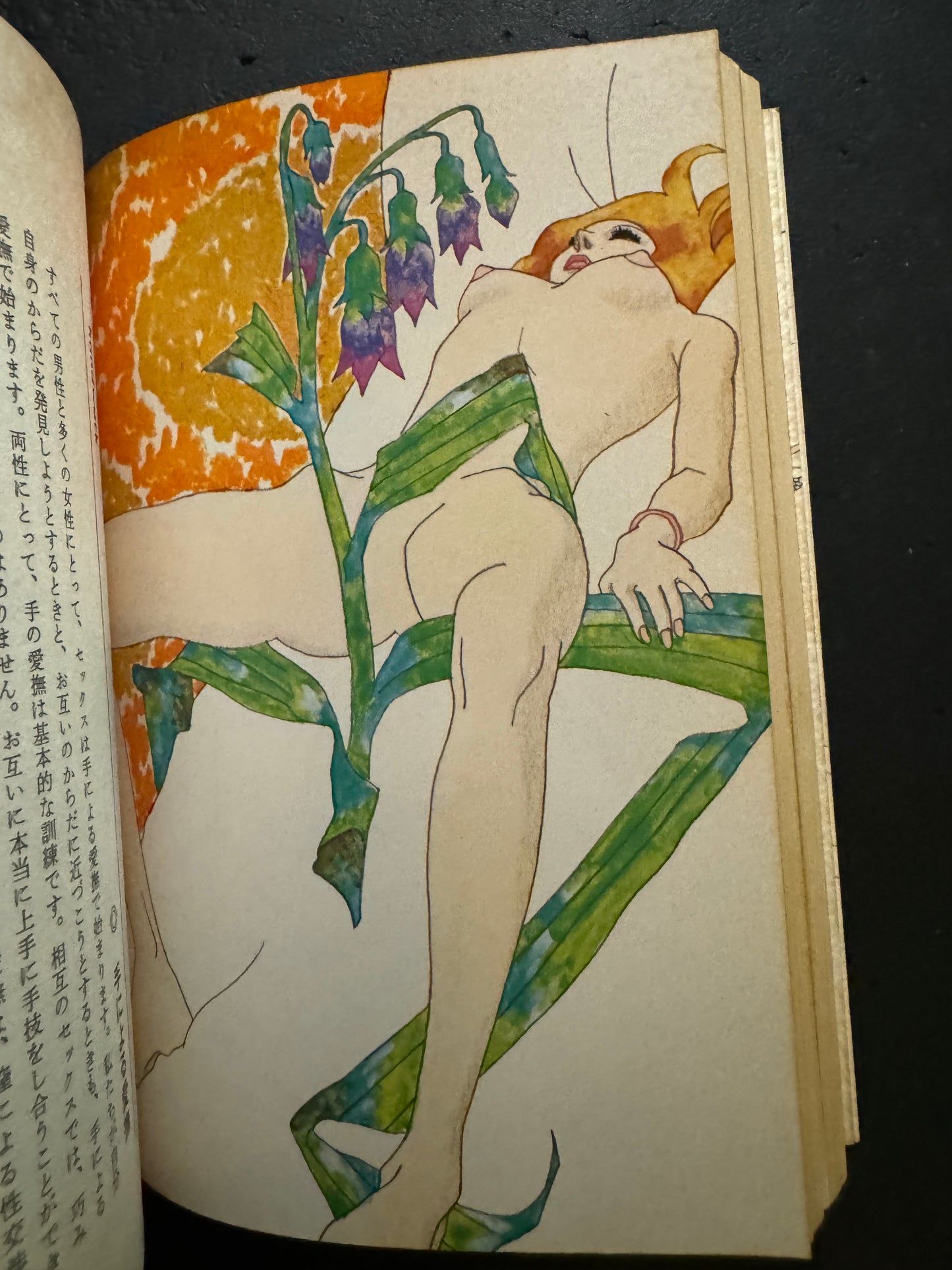 The Joy of Sex