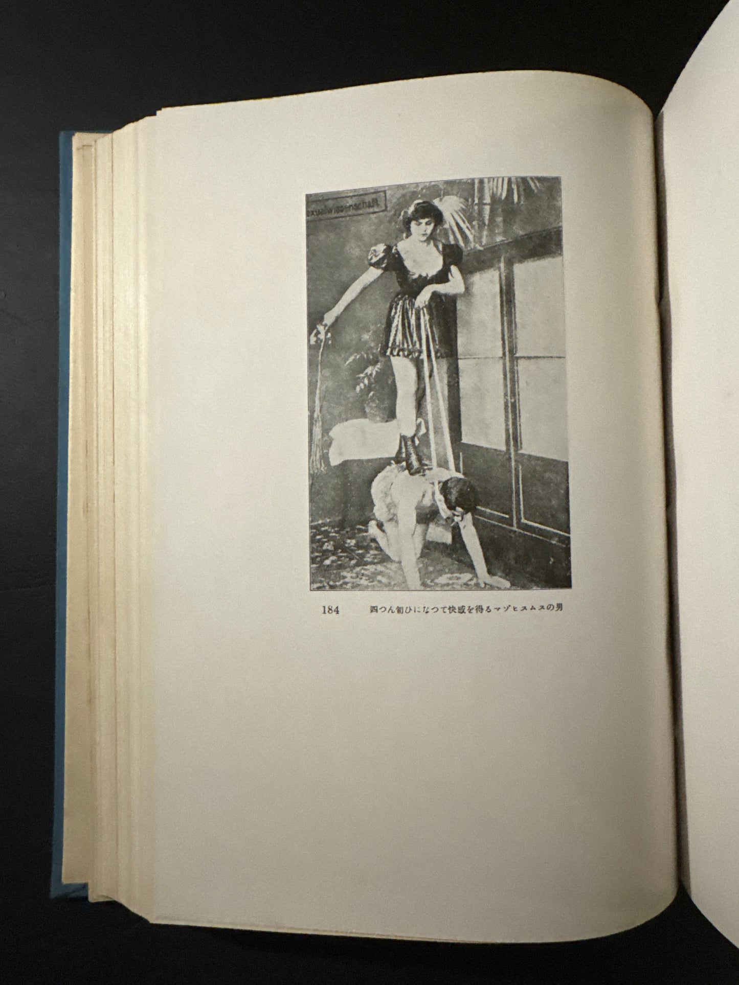 Crime science research materials. Punishment, perverted sexual desires, tattoo research