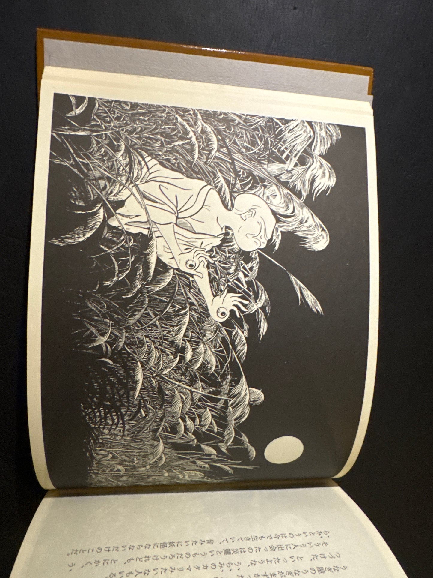 YOKAI Encyclopedia 2