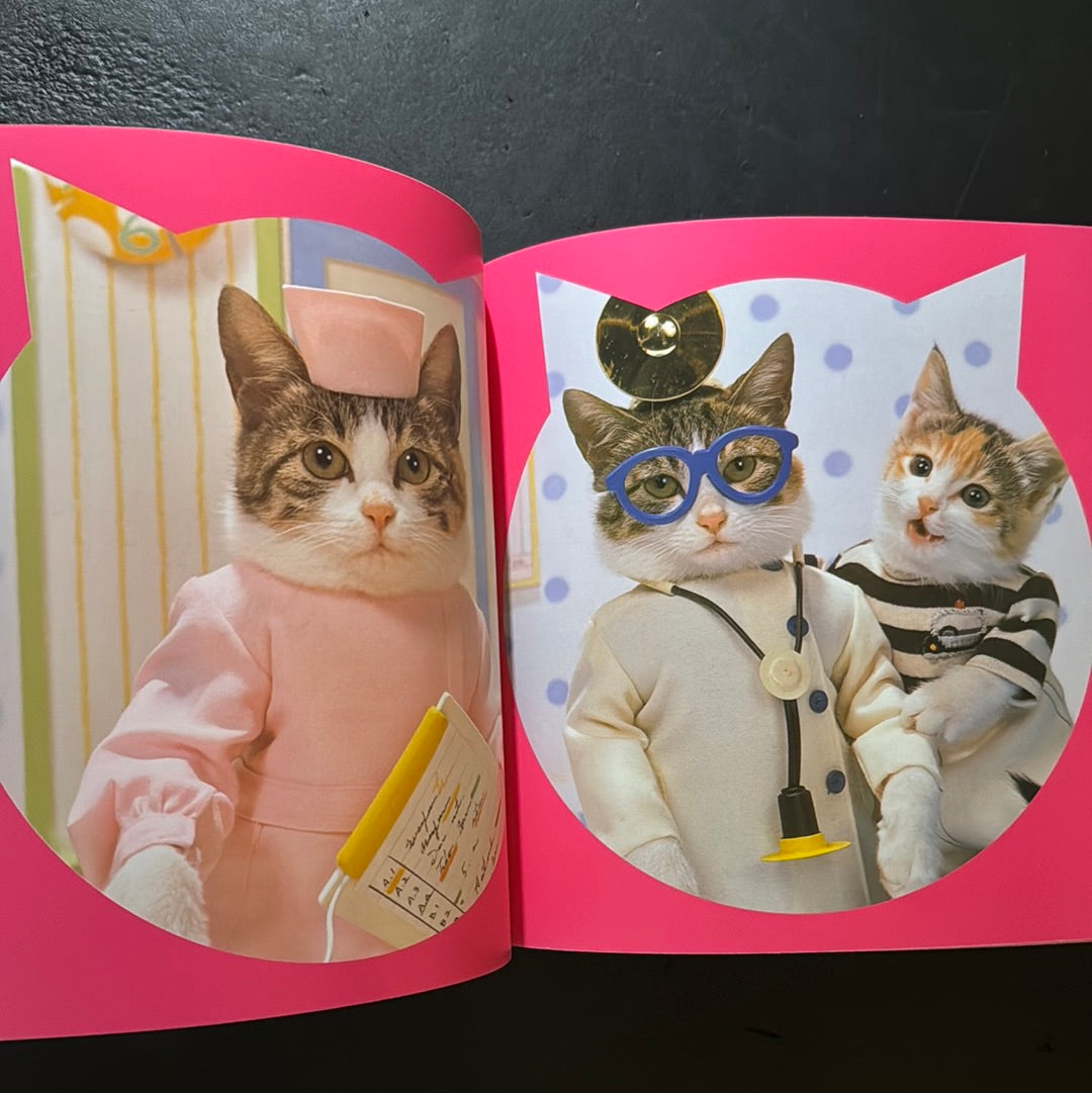 Rock'n' Roll CATS