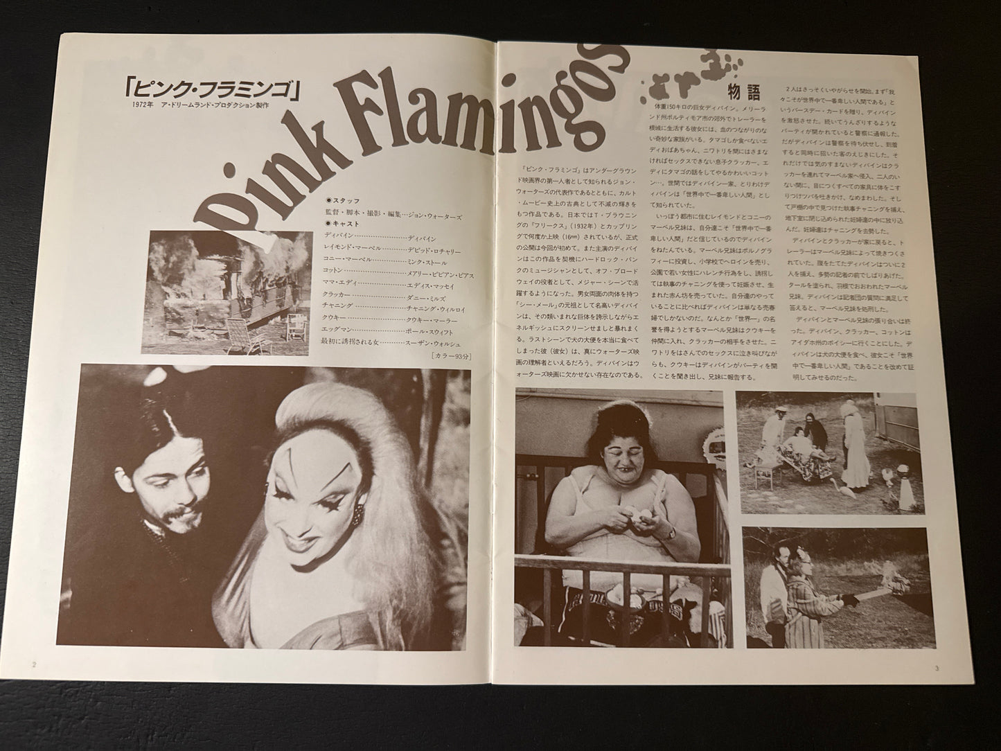 Pink Flamingos pamphlet