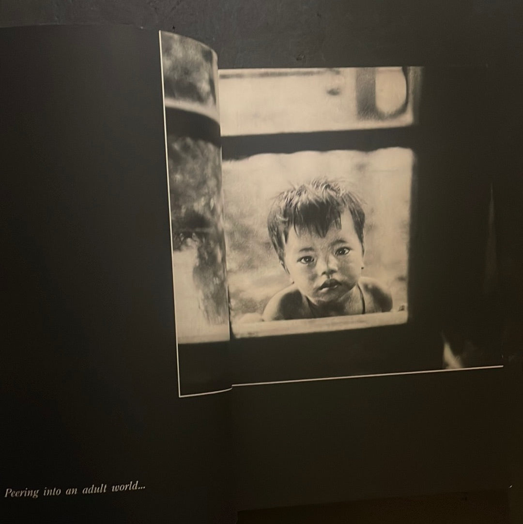 THE FACE OF TAIWAN