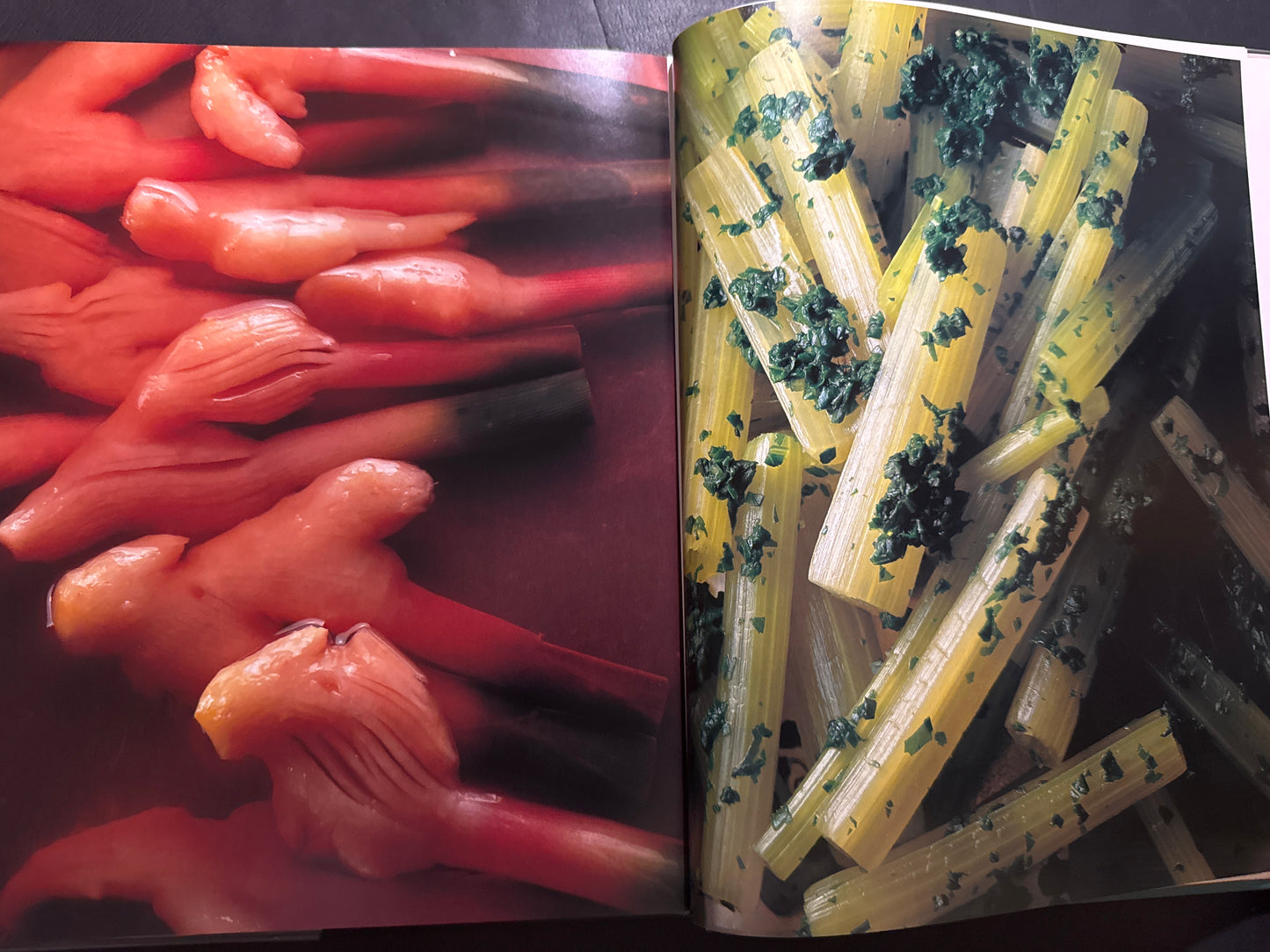 HYAKUMI SAISAI (A Hundred Tastes and Vegetables)
