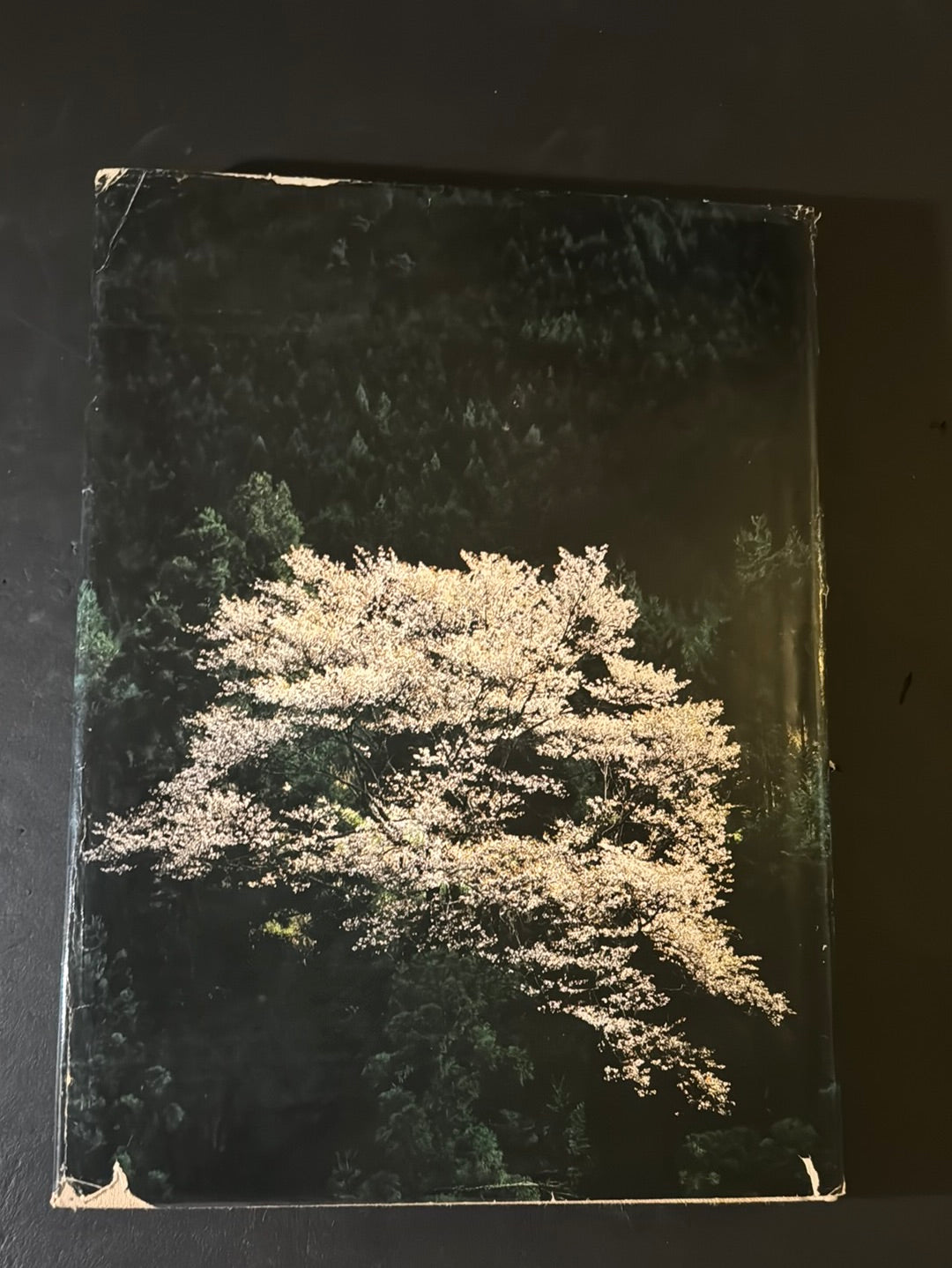 TENKAWA