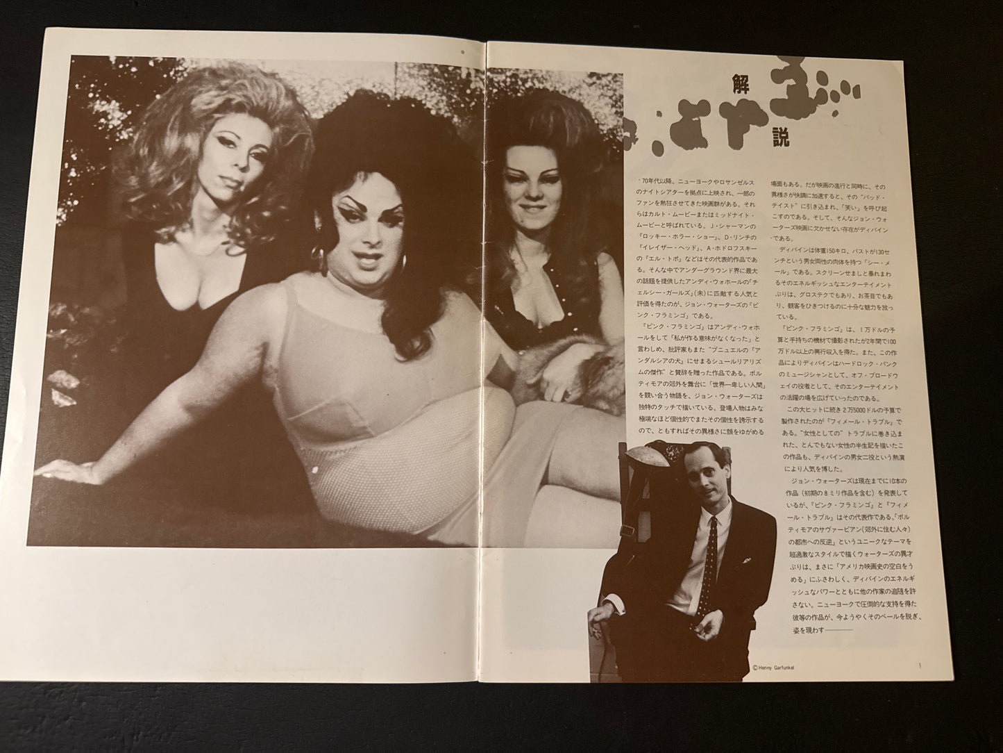 Pink Flamingos pamphlet