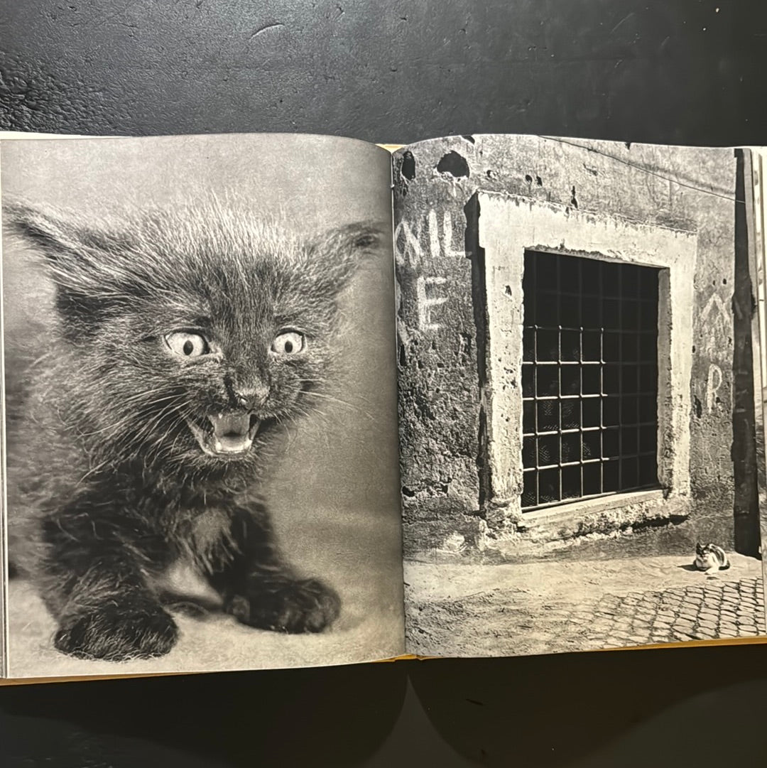 KATZEN
