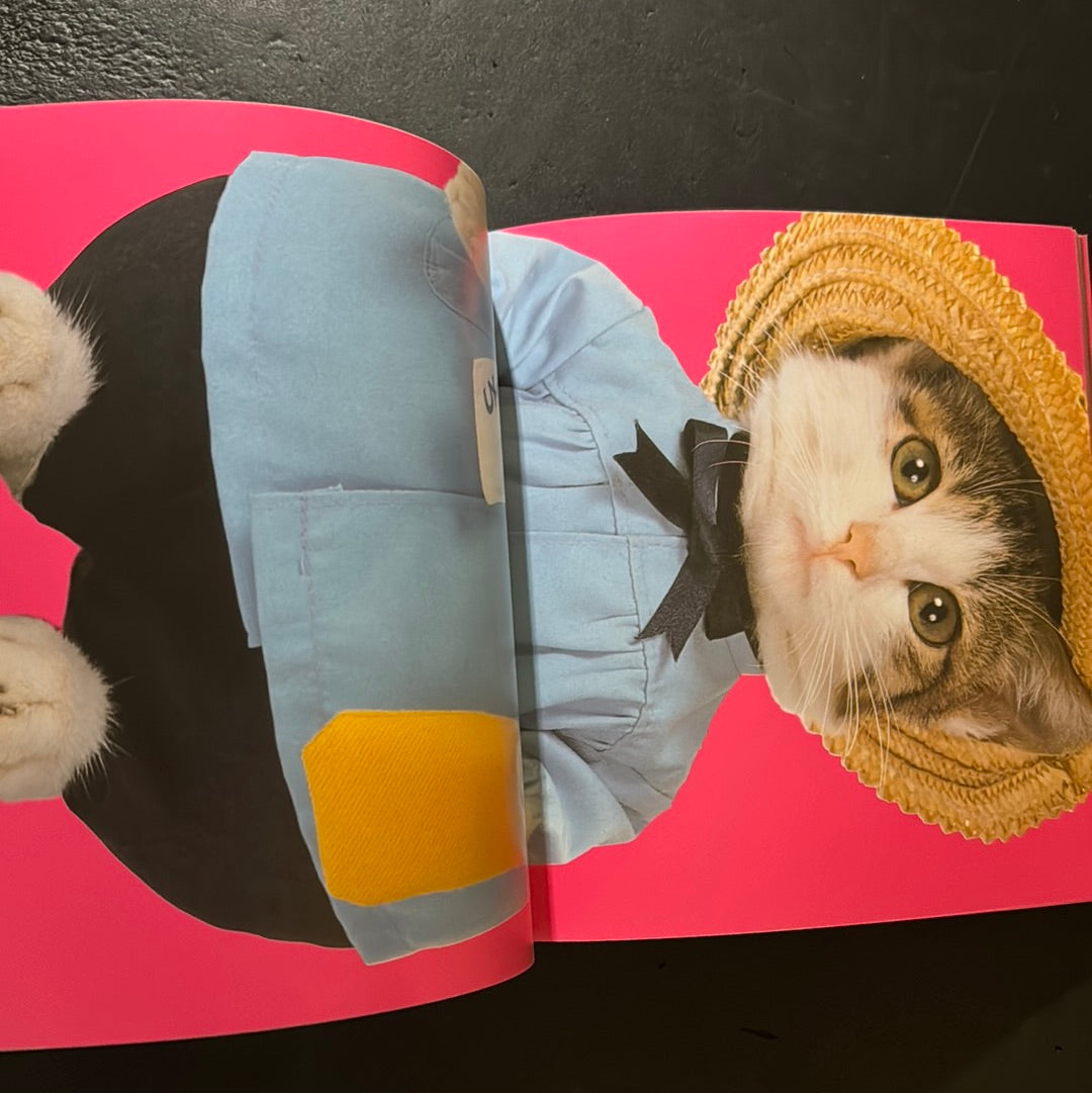 Rock'n' Roll CATS