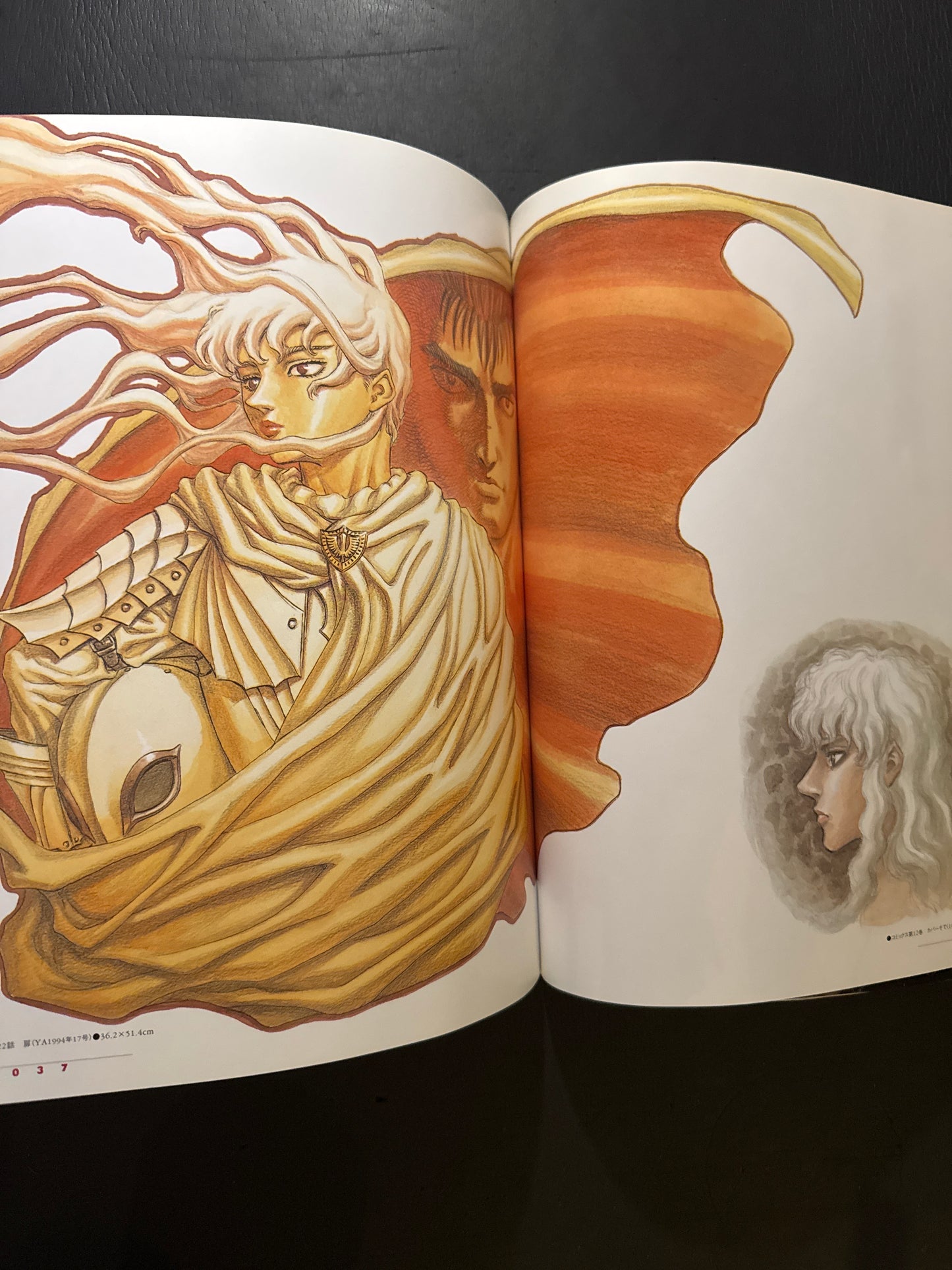 BERSERK Illustrations file