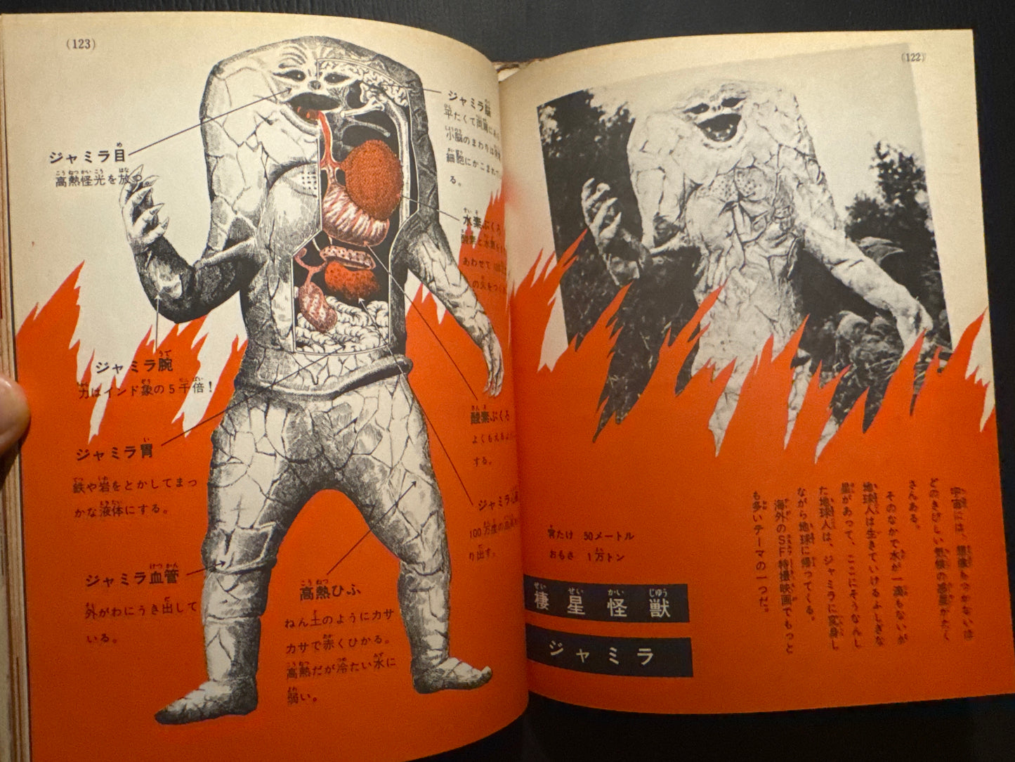 Kaiju Anatomy - Kaiju Illustrated Introduction 18