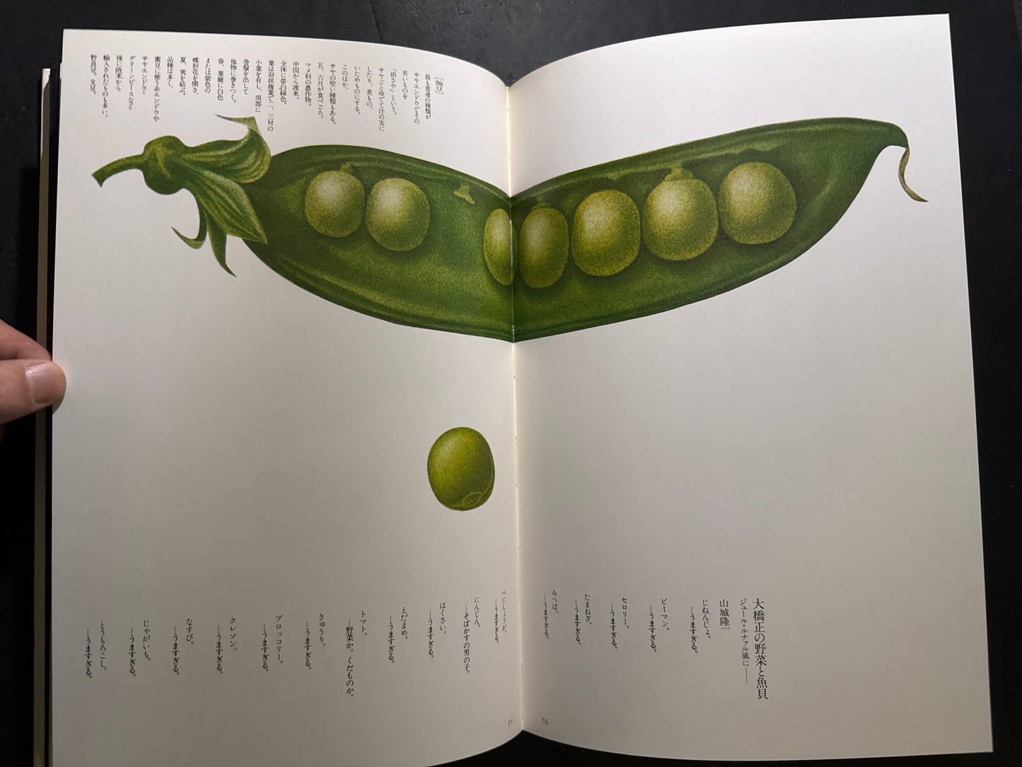 Tadashi Ohashi's Natural History