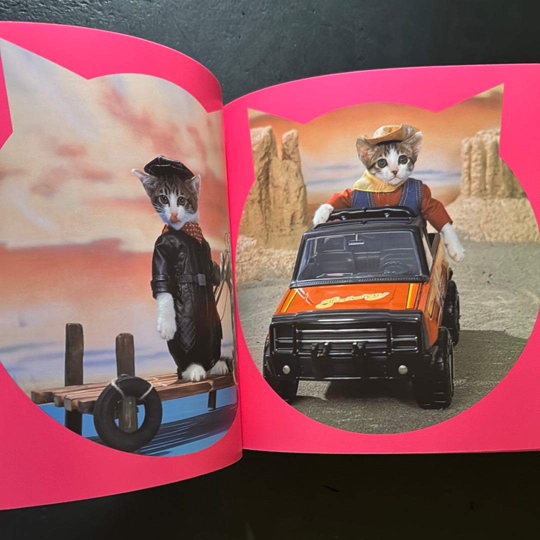Rock'n' Roll CATS