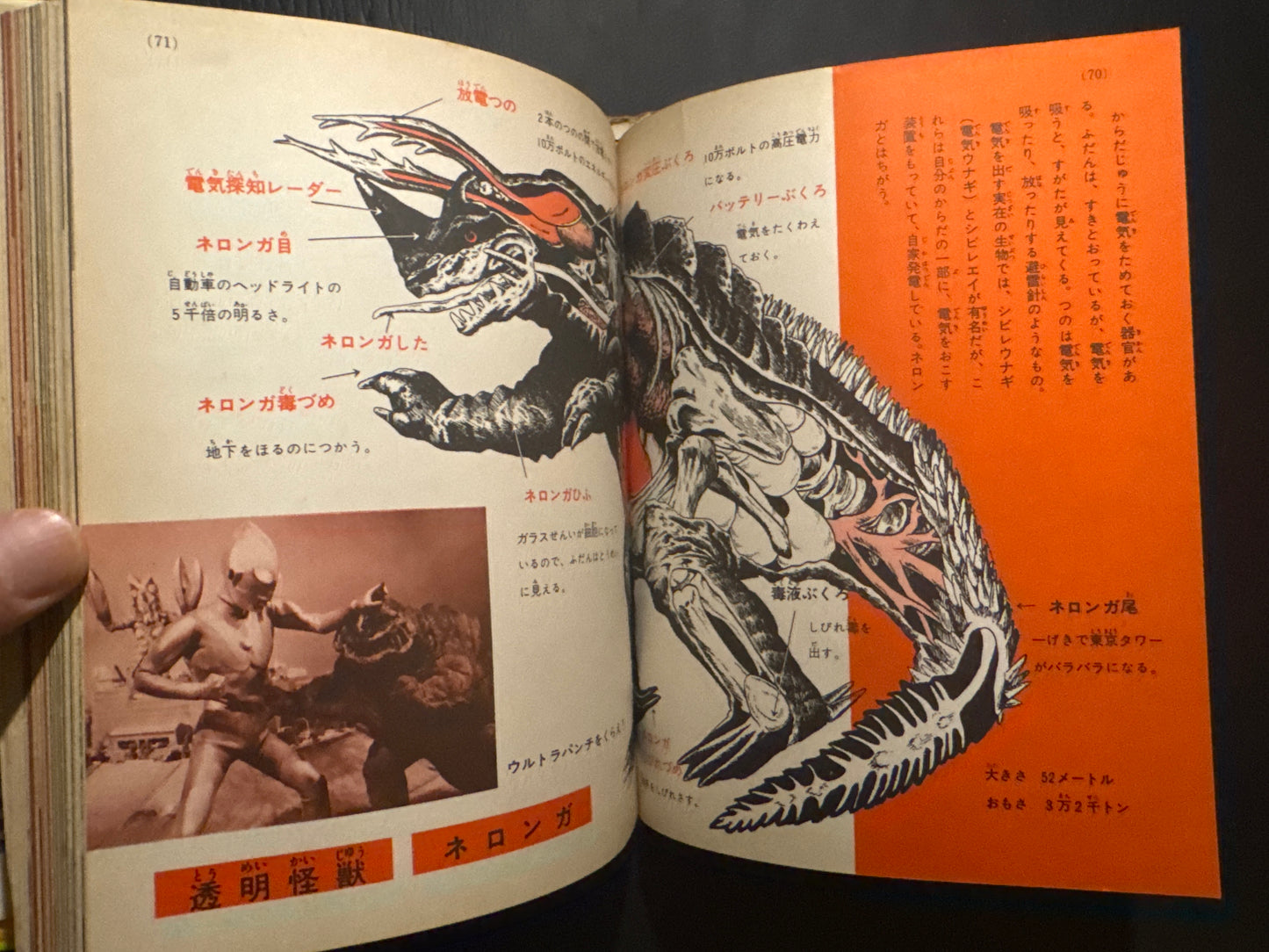 Kaiju Anatomy - Kaiju Illustrated Introduction 18