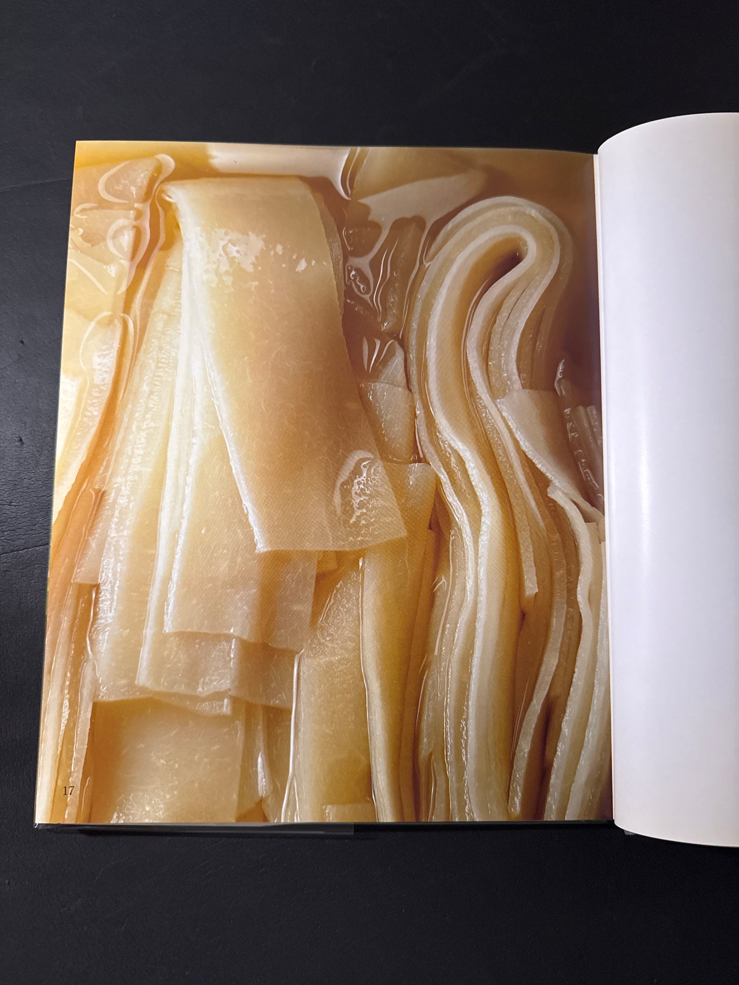 HYAKUMI SAISAI (A Hundred Tastes and Vegetables)