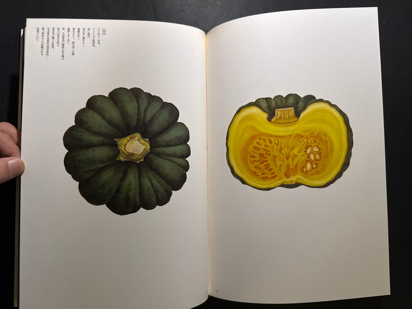 Tadashi Ohashi's Natural History
