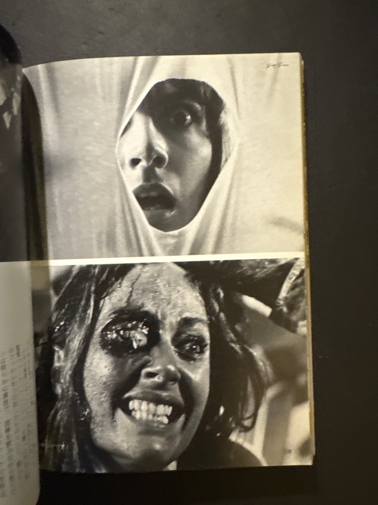 A World of Blood-Splattered Horror — The Splatter Films of Lewis and Romero