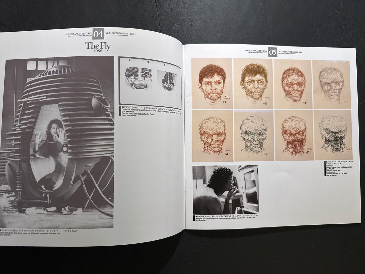THE STRANGE OBJECTS OF DAVID CRONENBERG'S DESIRE