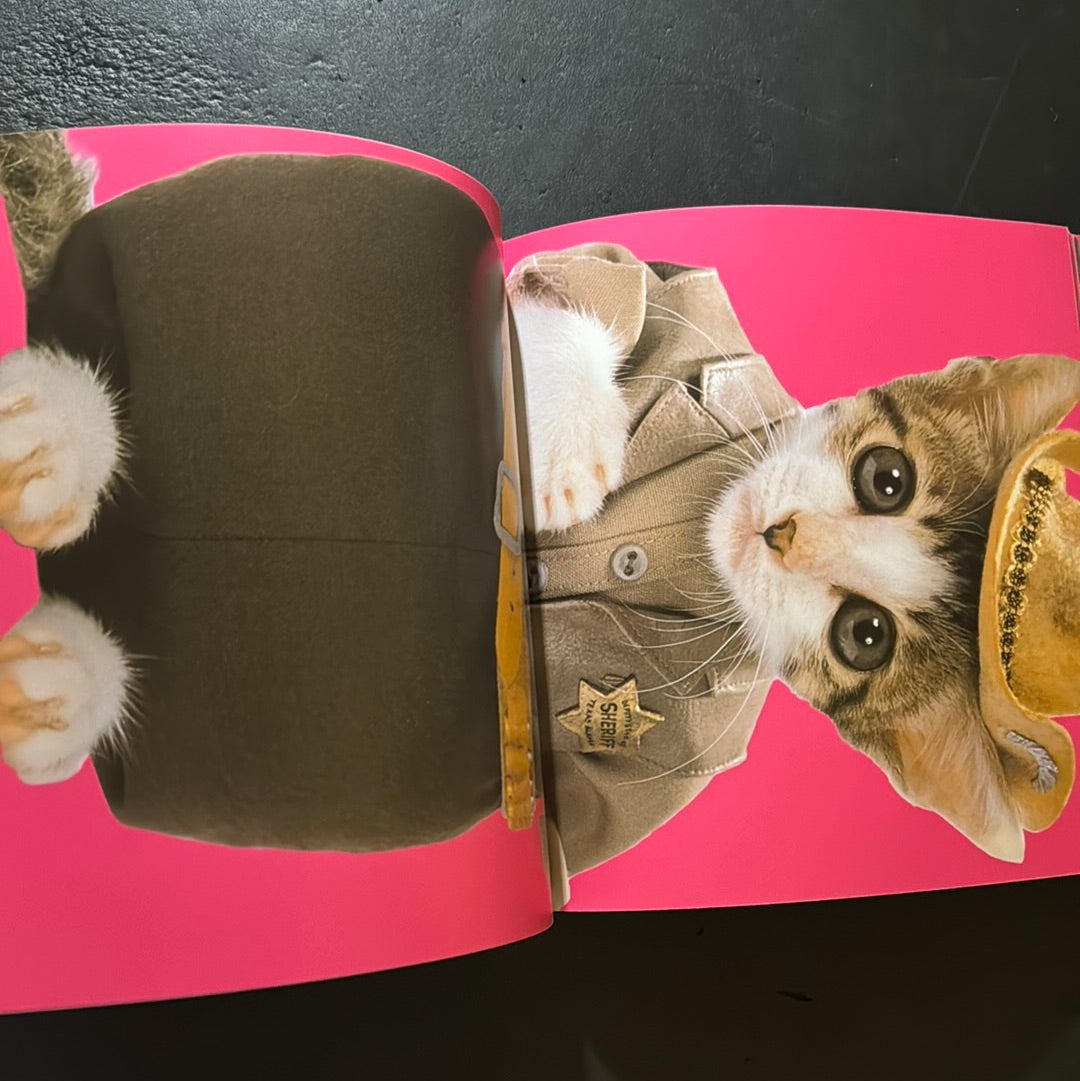 Rock'n' Roll CATS