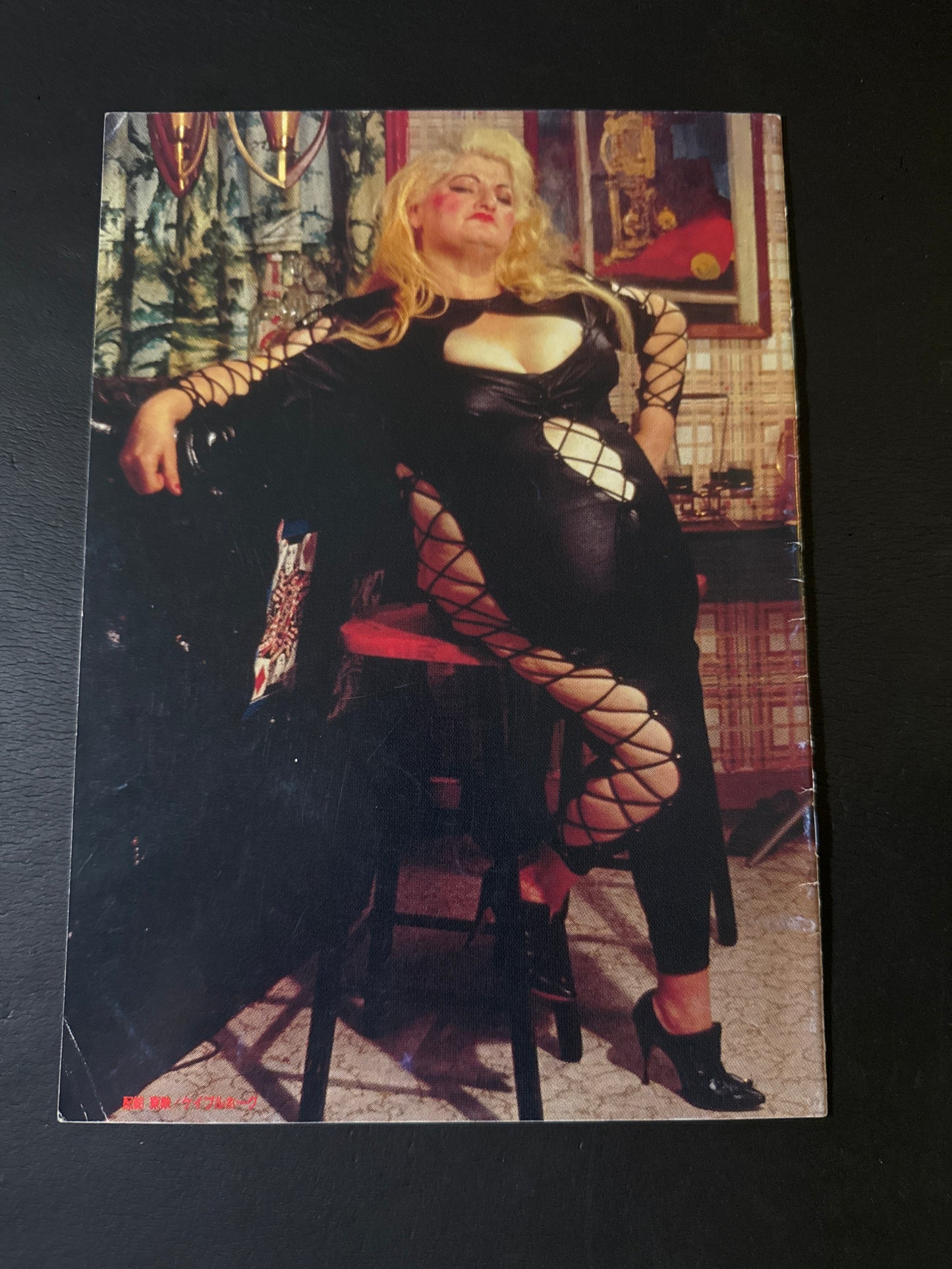 Pink Flamingos pamphlet