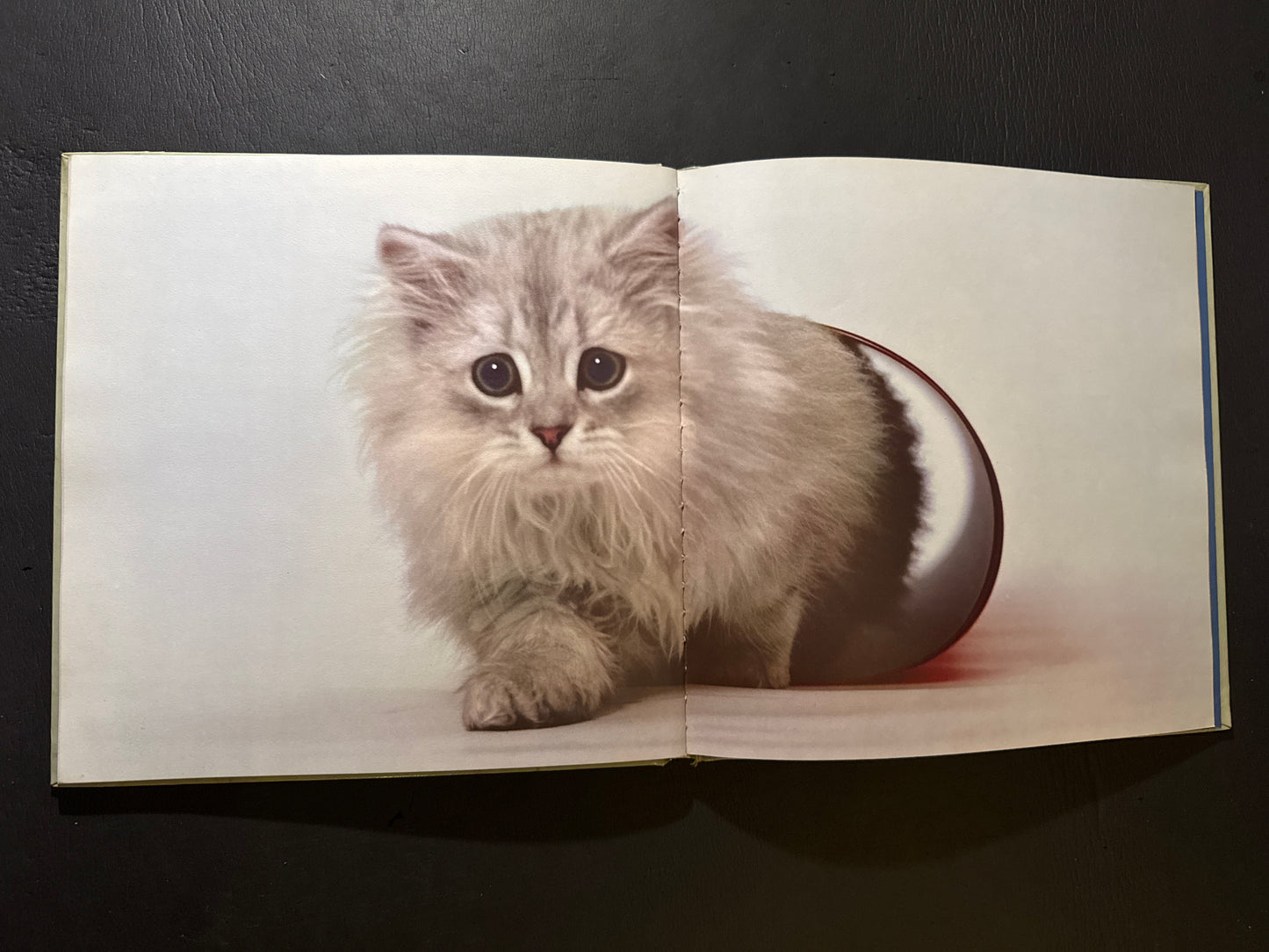 NEKO