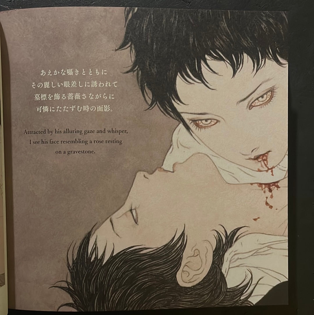 Vampire's Box